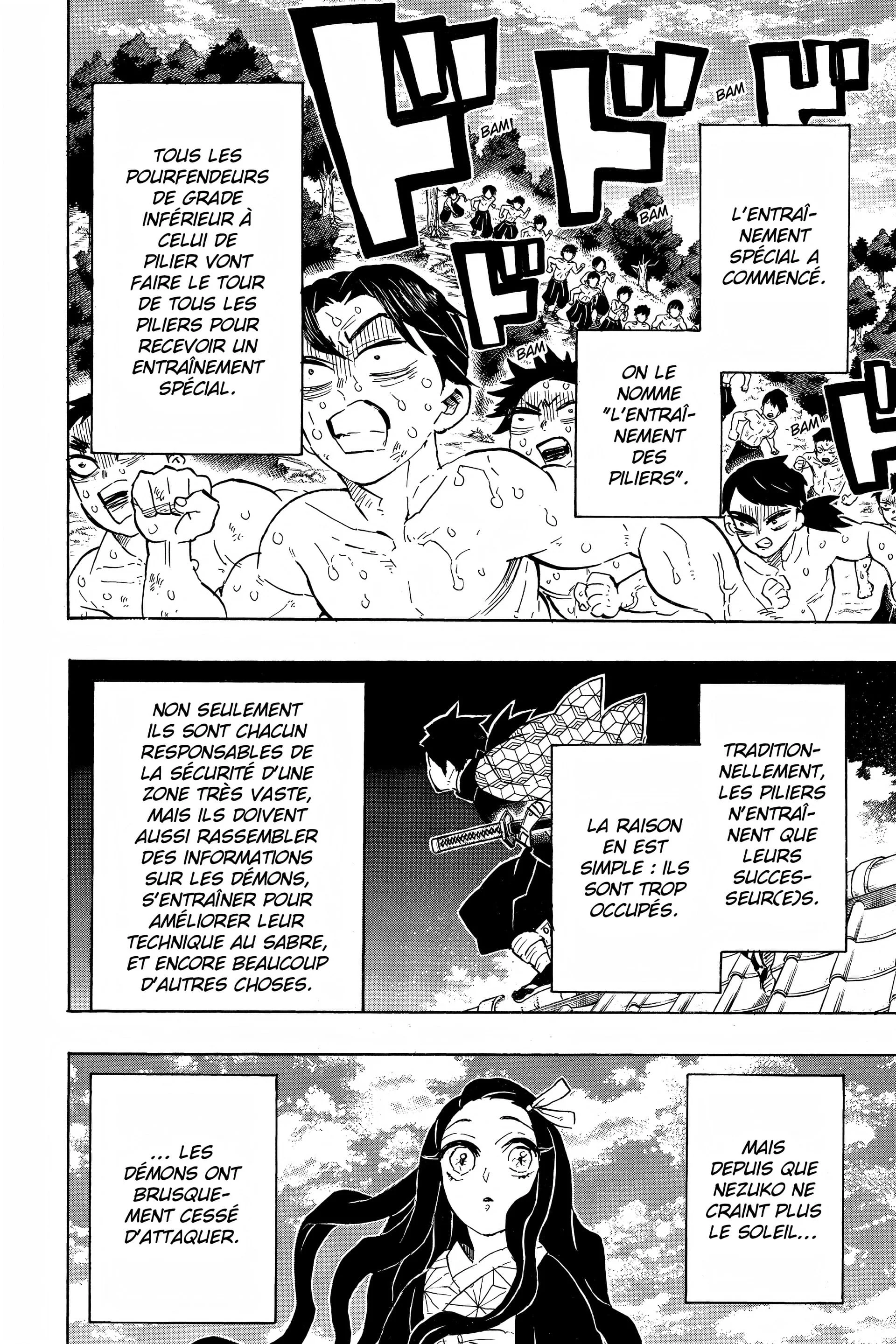 Read Demon Slayer FR Manga Online