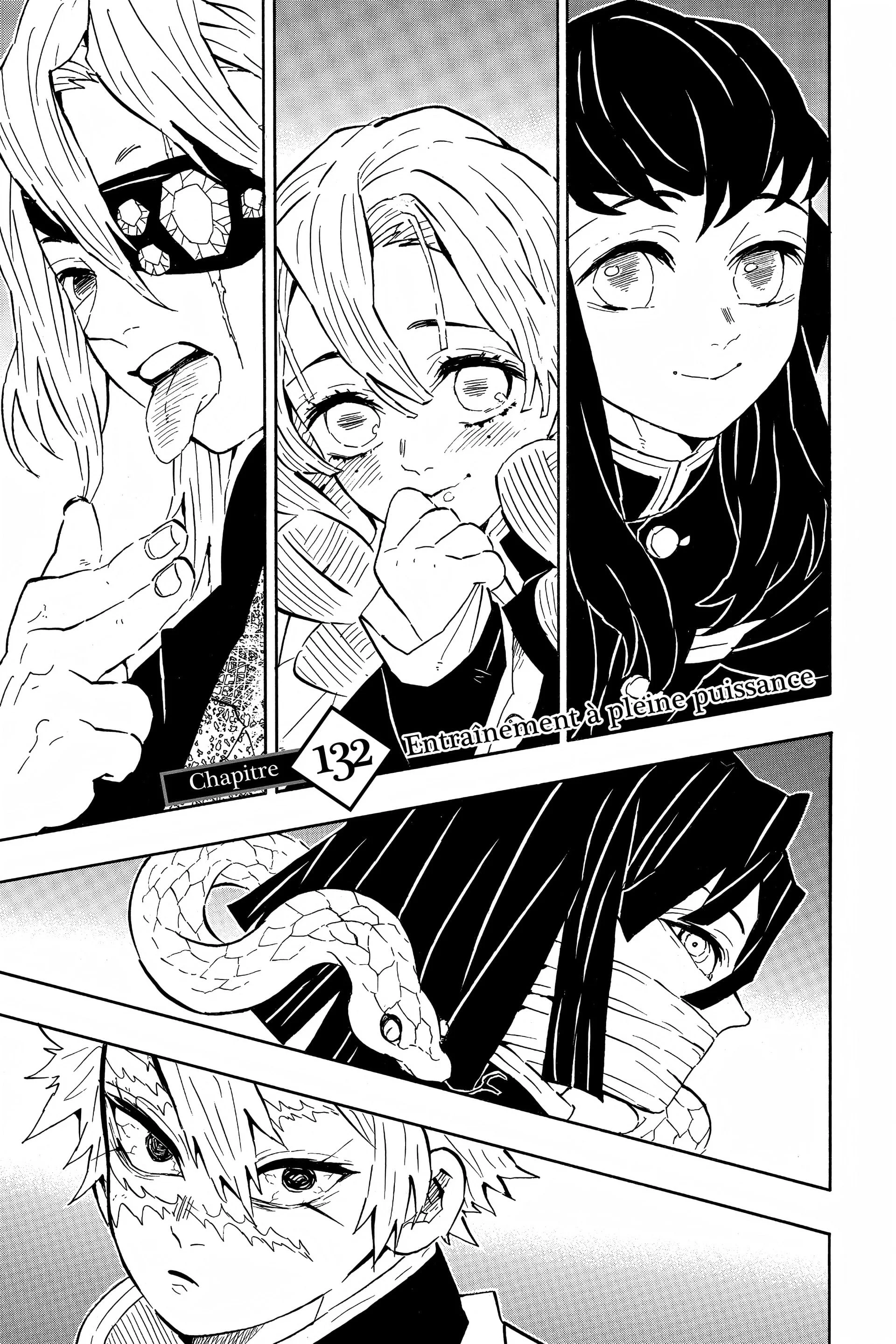 Read Demon Slayer FR Manga Online