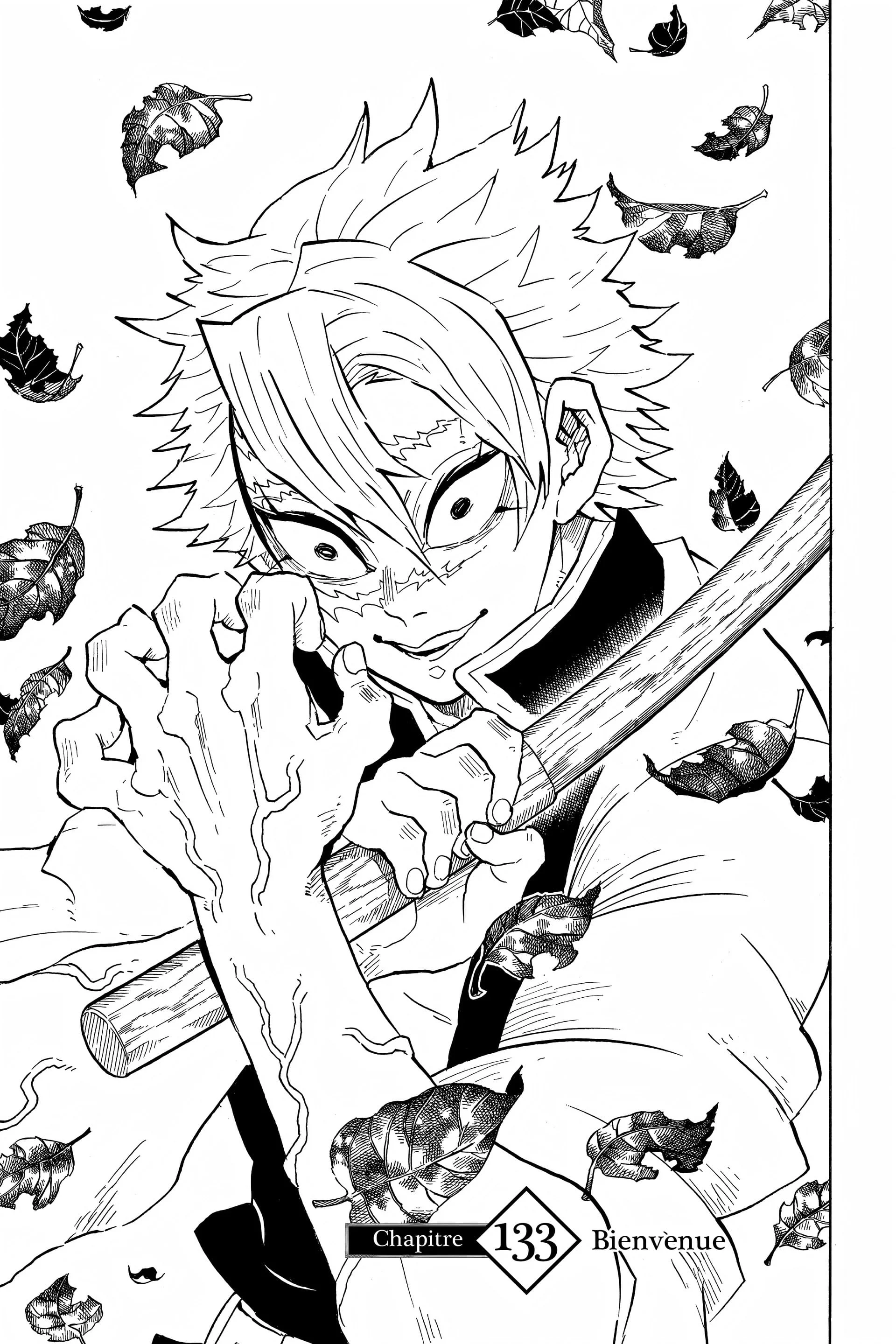 Read Demon Slayer FR Manga Online