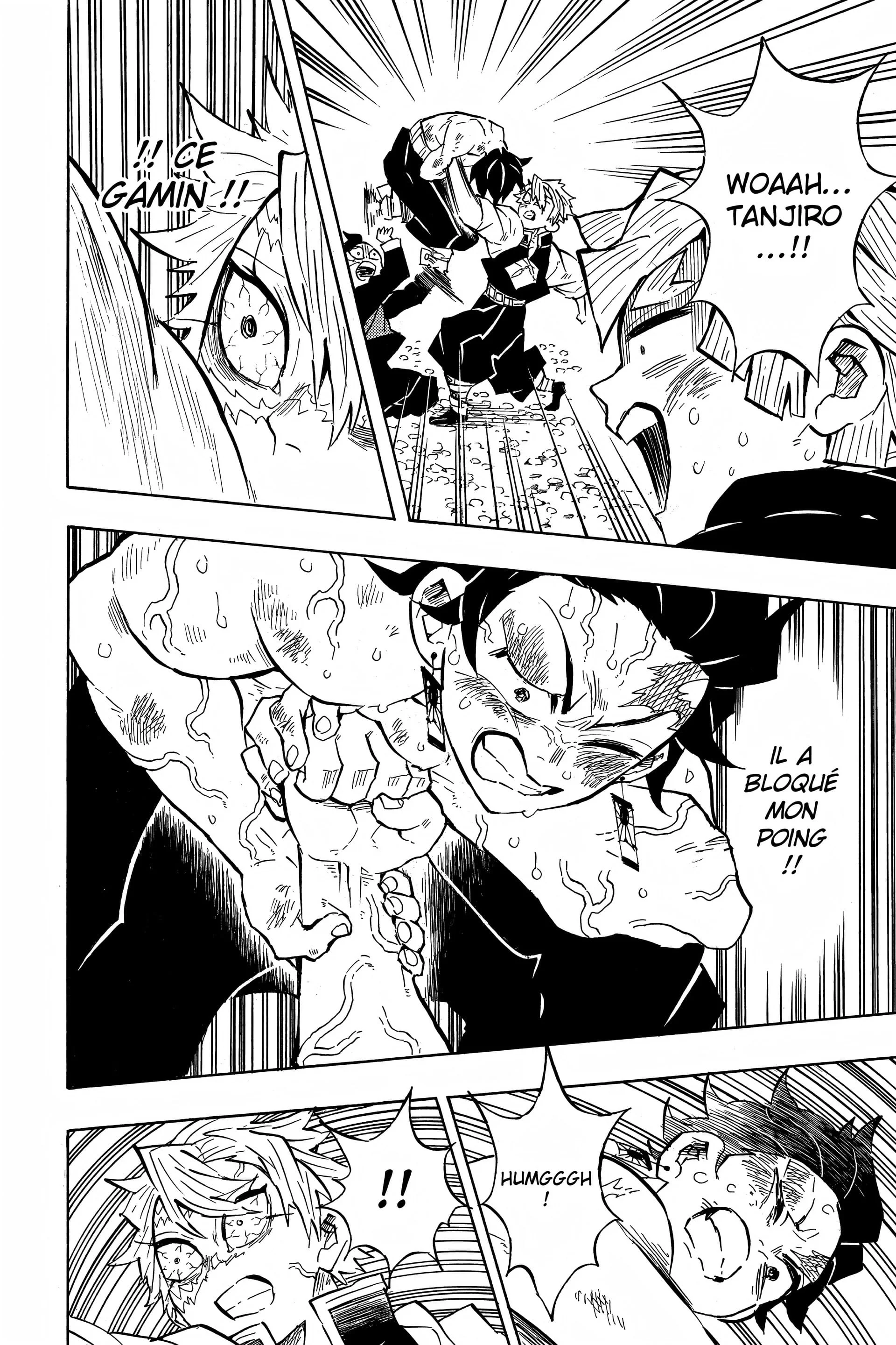 Read Demon Slayer FR Manga Online