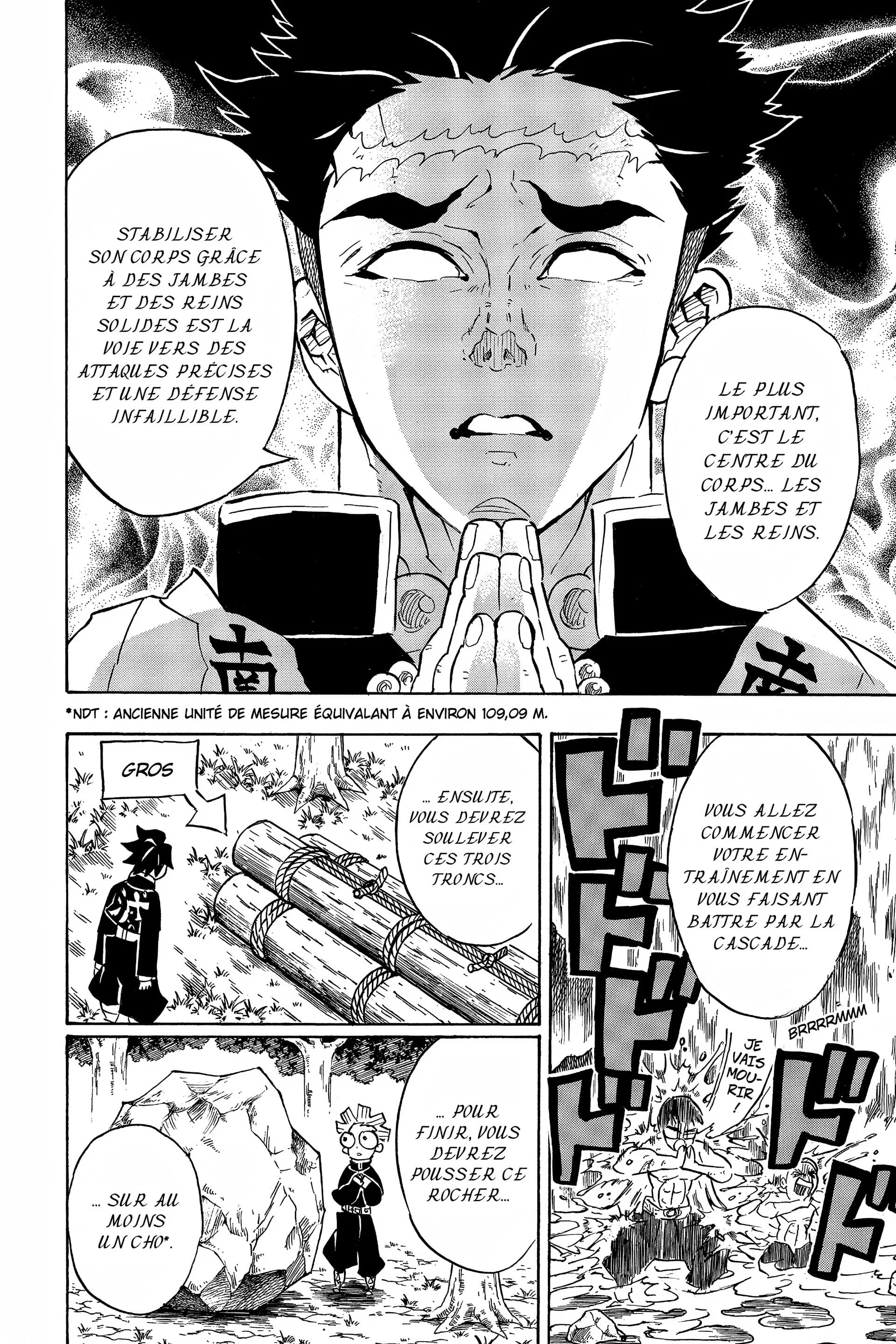 Read Demon Slayer FR Manga Online