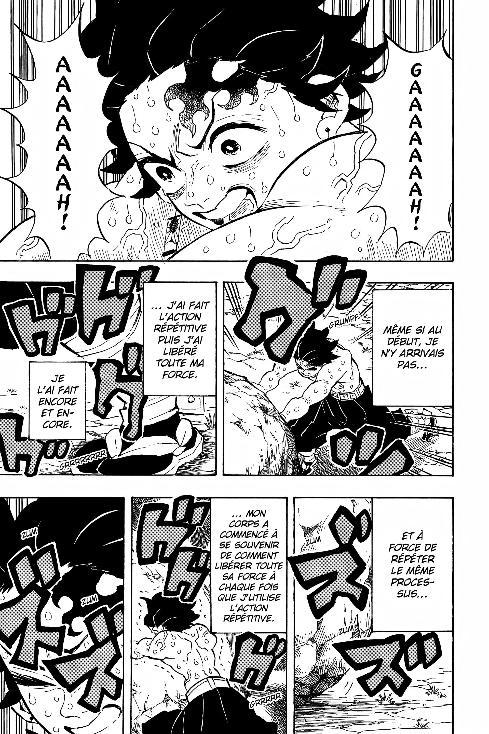 Read Demon Slayer FR Manga Online