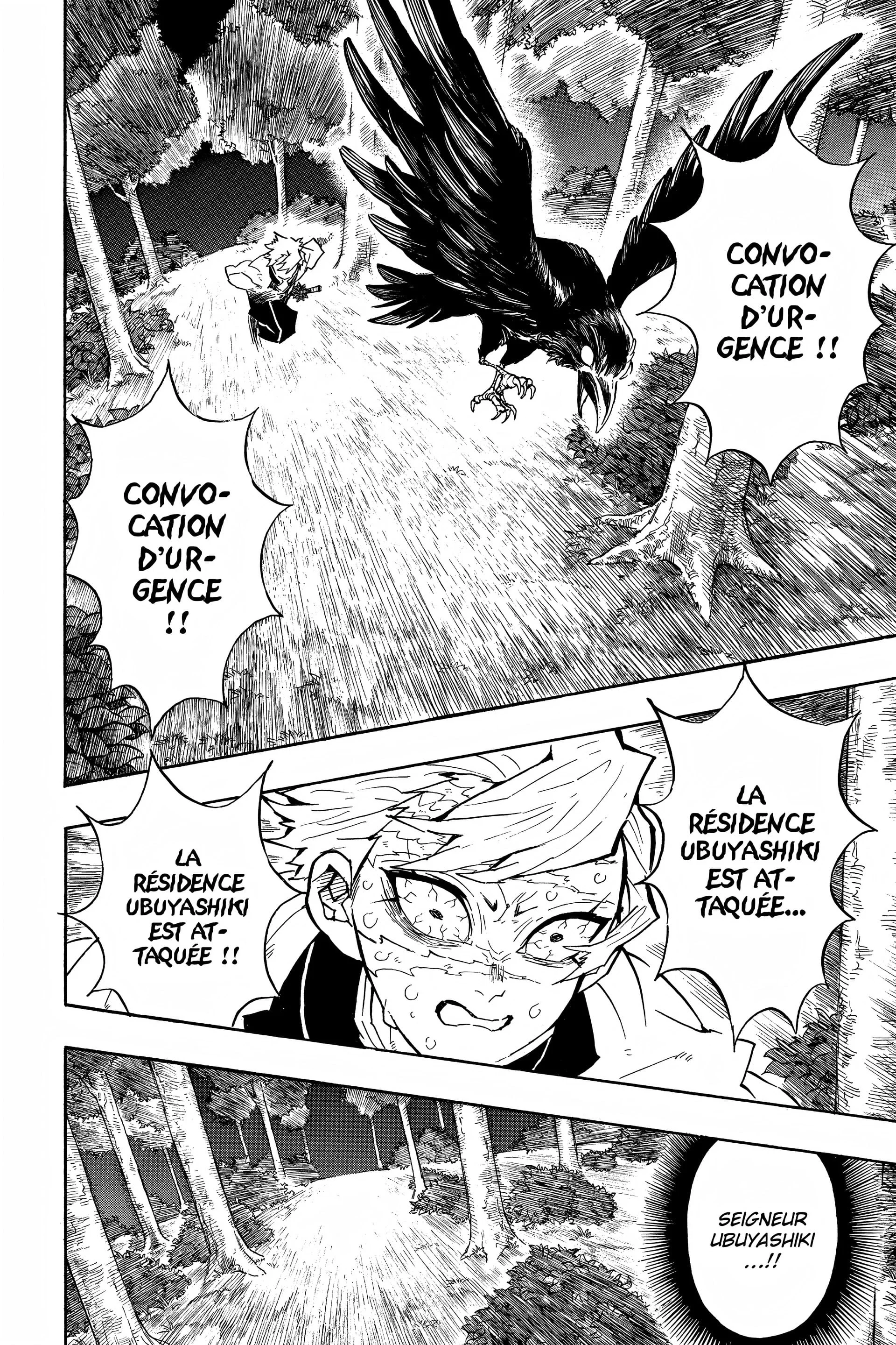 Read Demon Slayer FR Manga Online