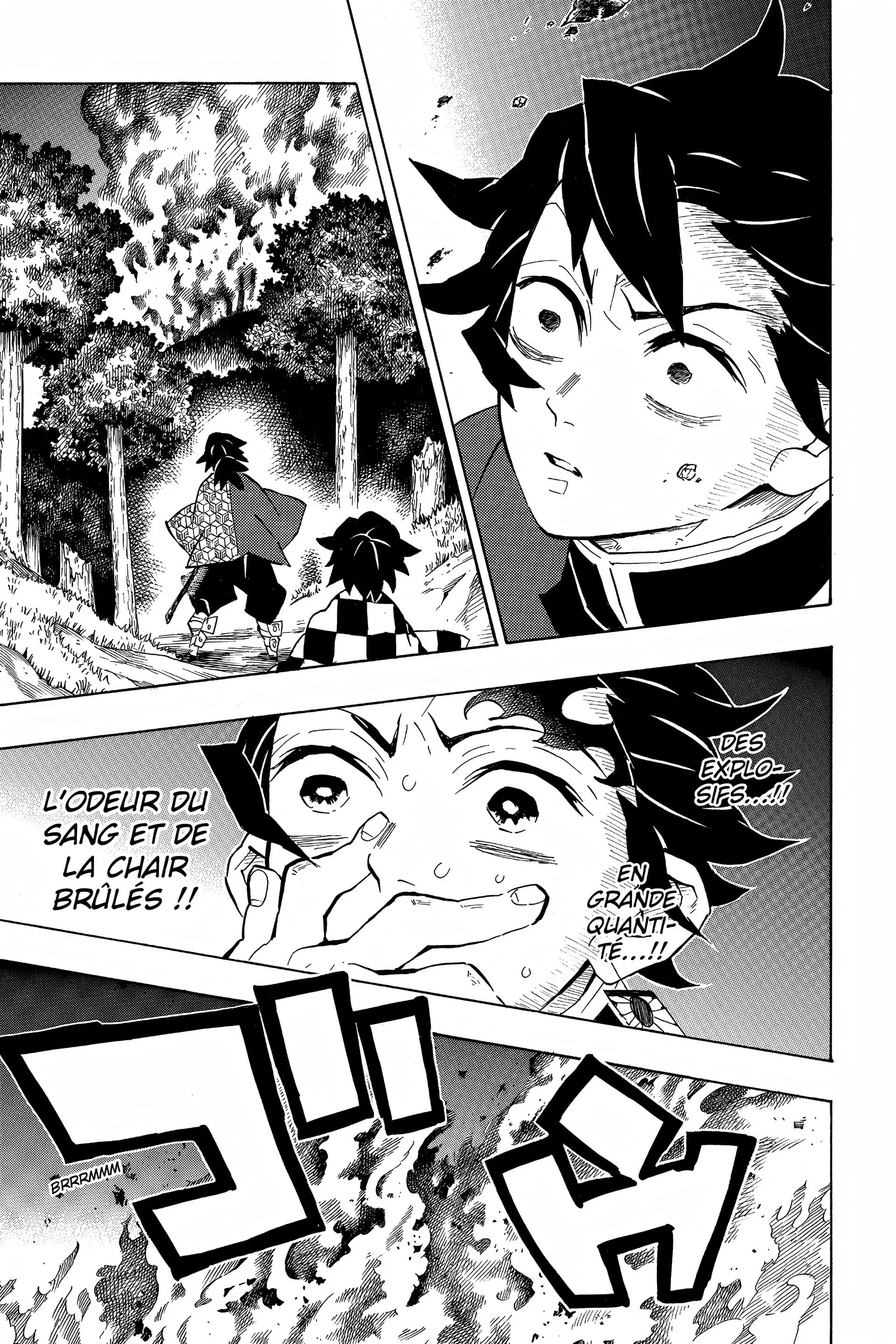 Read Demon Slayer FR Manga Online