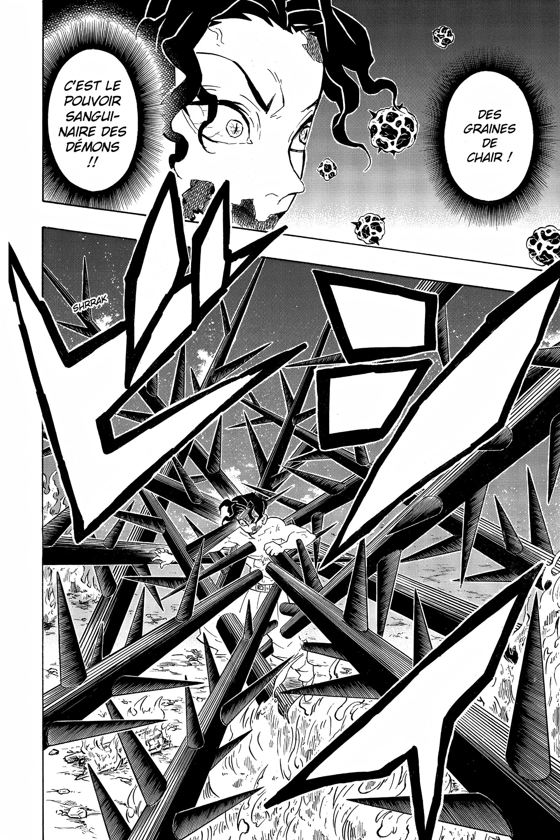 Read Demon Slayer FR Manga Online