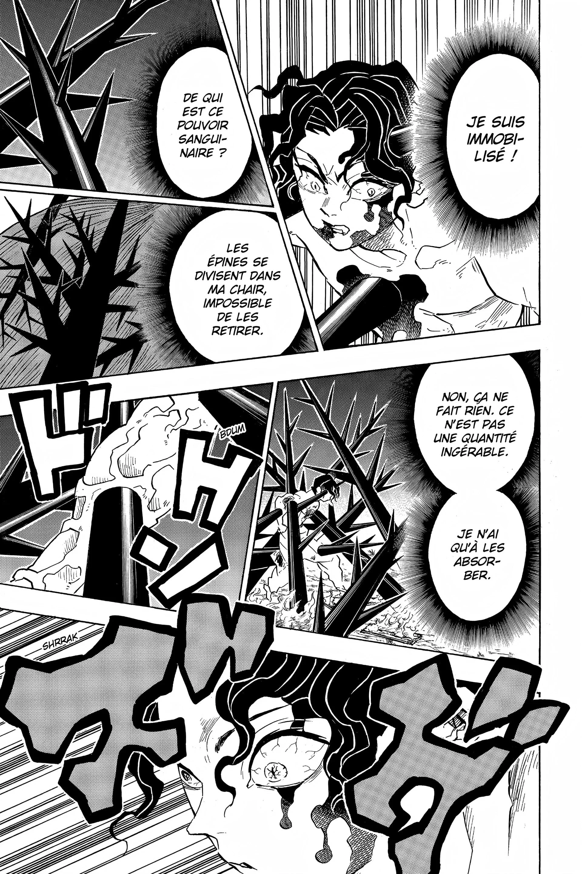 Read Demon Slayer FR Manga Online