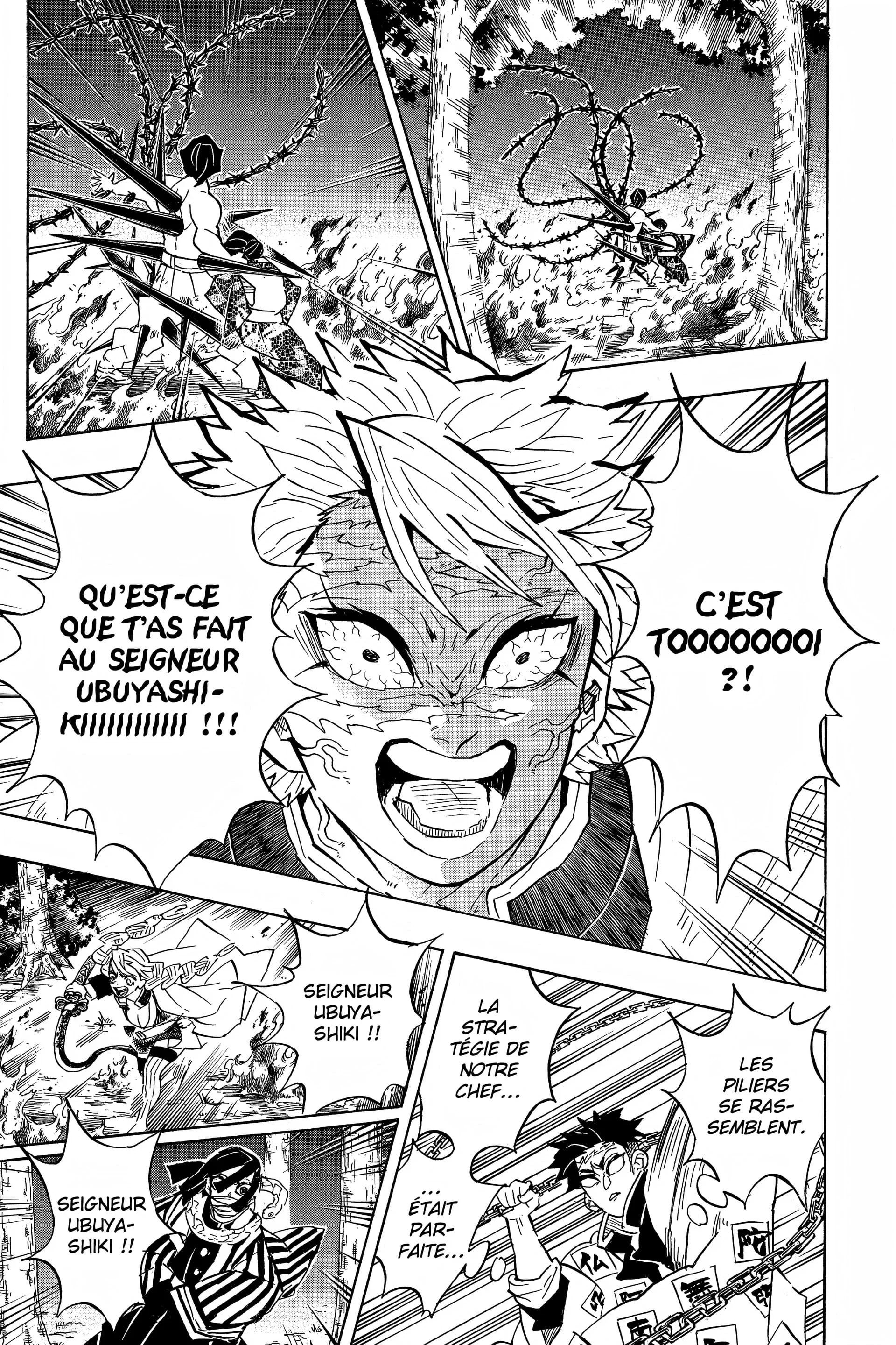 Read Demon Slayer FR Manga Online