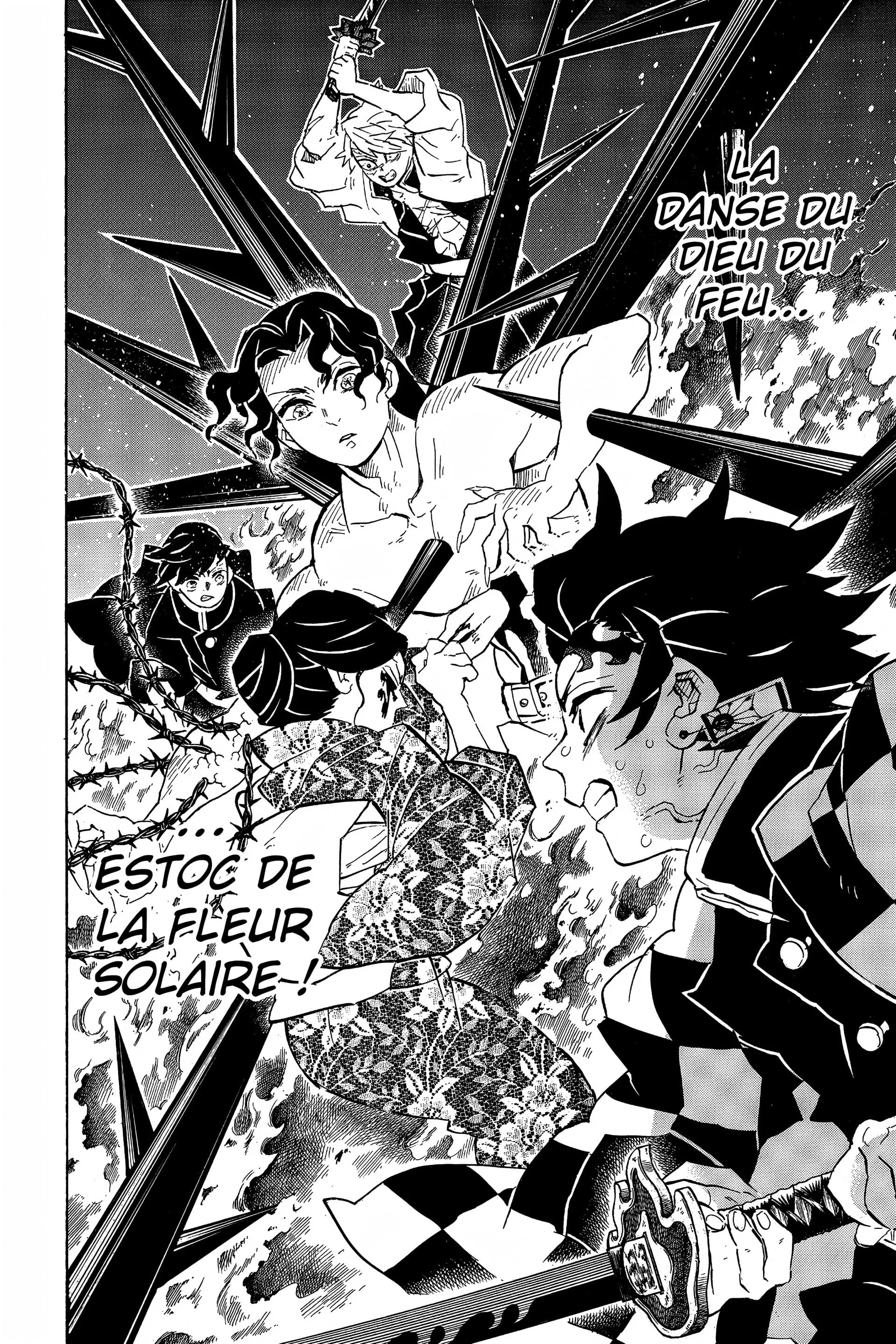 Read Demon Slayer FR Manga Online