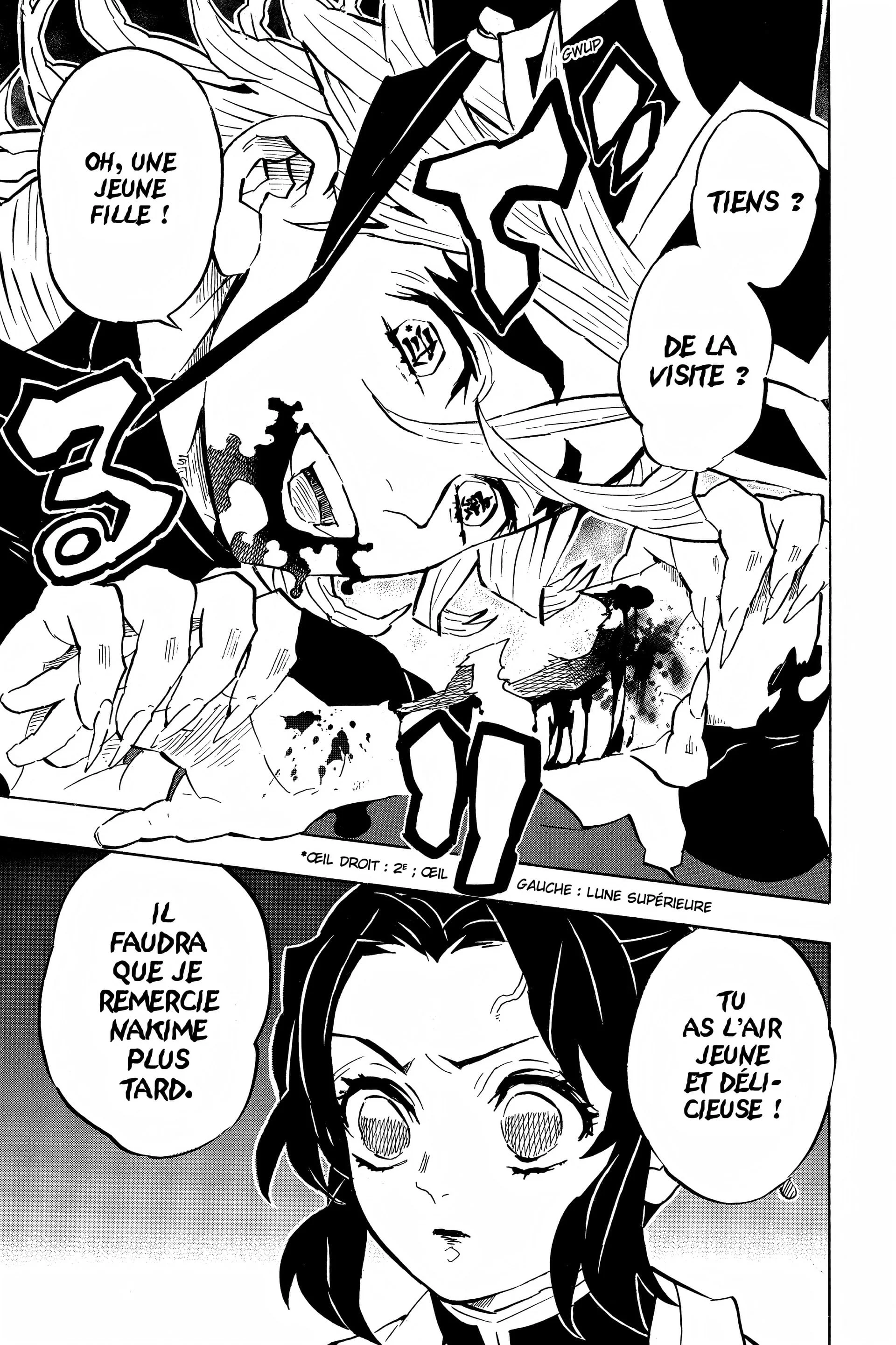 Read Demon Slayer FR Manga Online