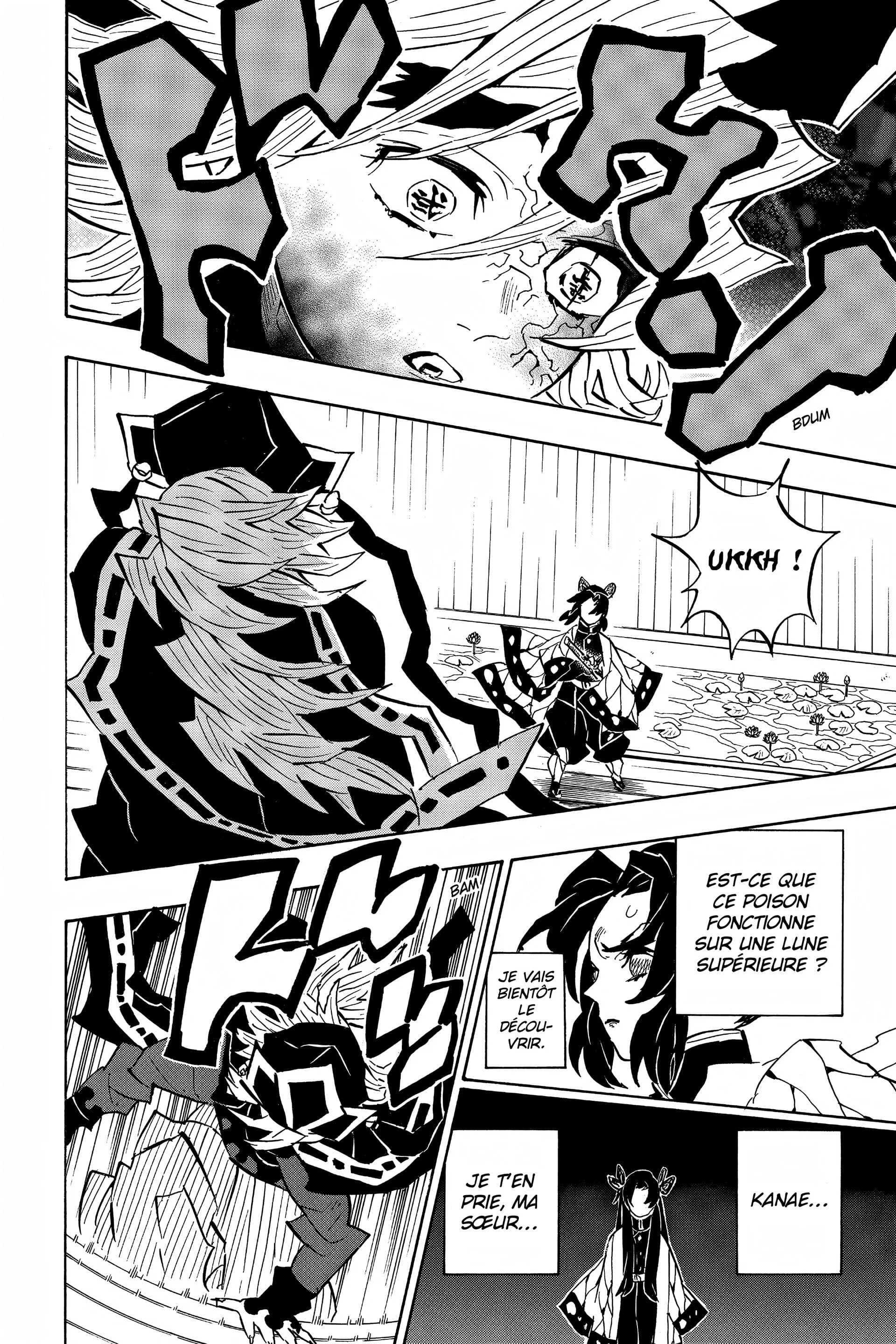 Read Demon Slayer FR Manga Online