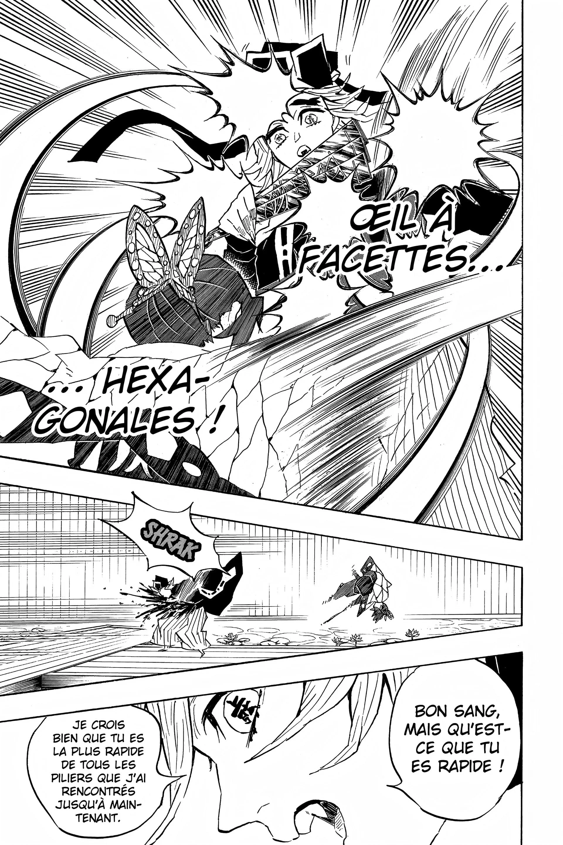 Read Demon Slayer FR Manga Online