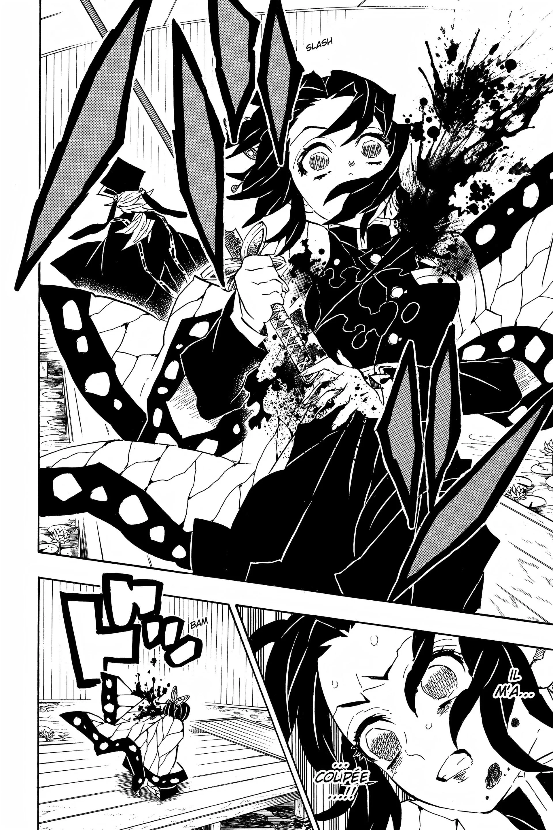 Read Demon Slayer FR Manga Online