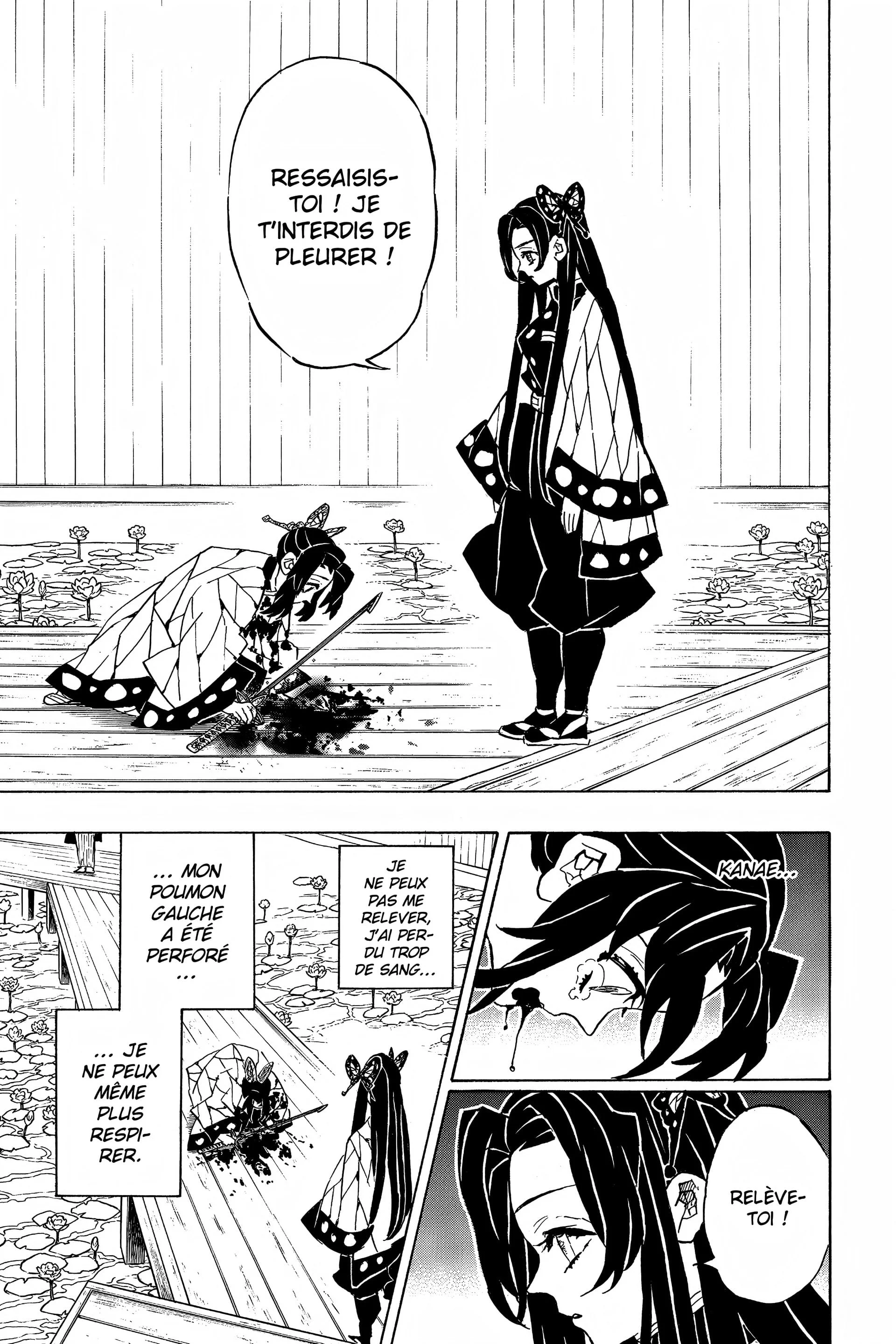 Read Demon Slayer FR Manga Online