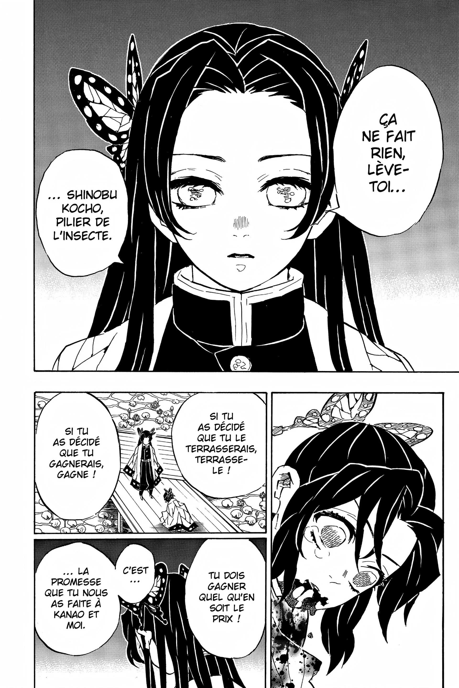 Read Demon Slayer FR Manga Online