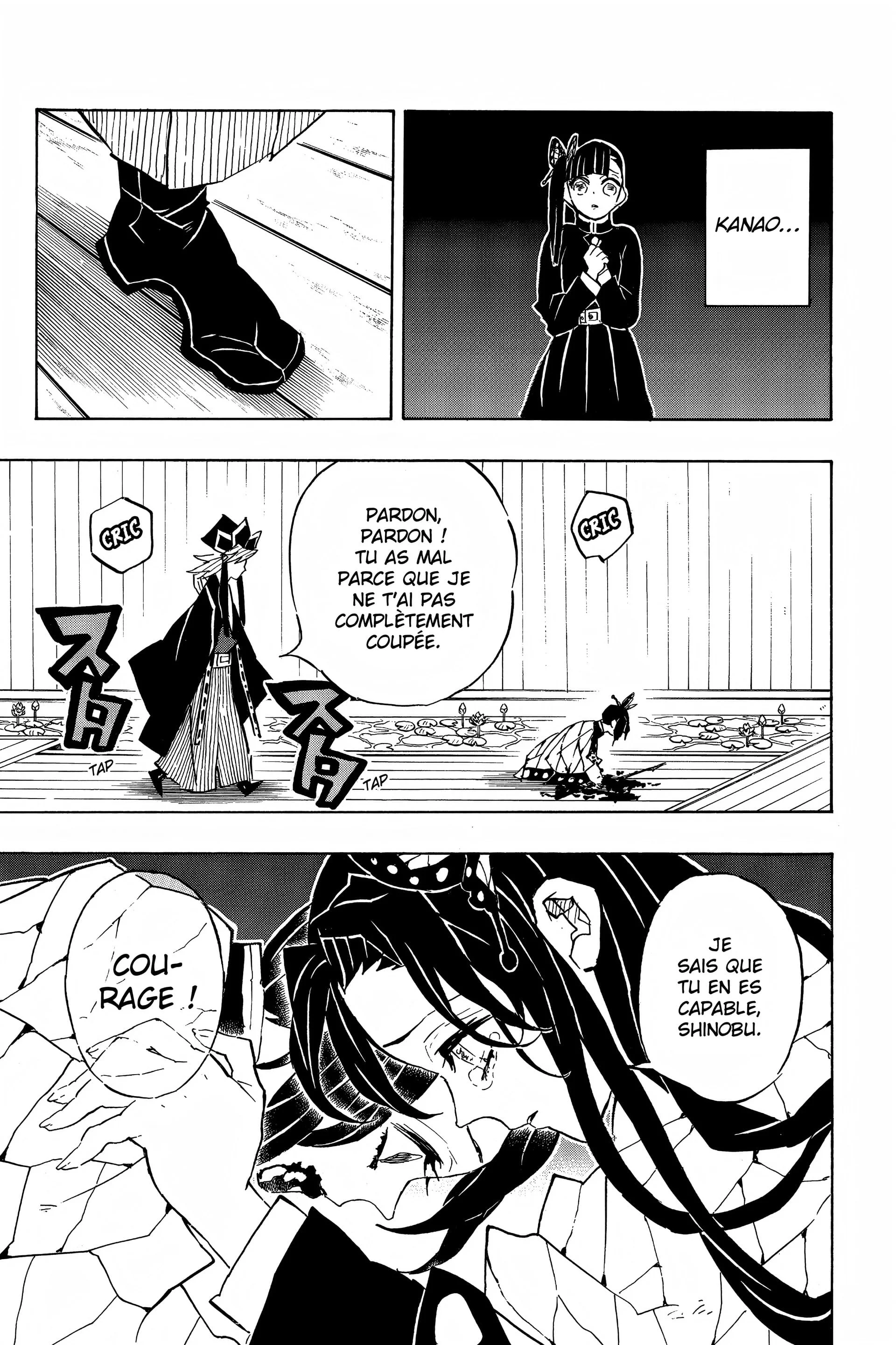 Read Demon Slayer FR Manga Online