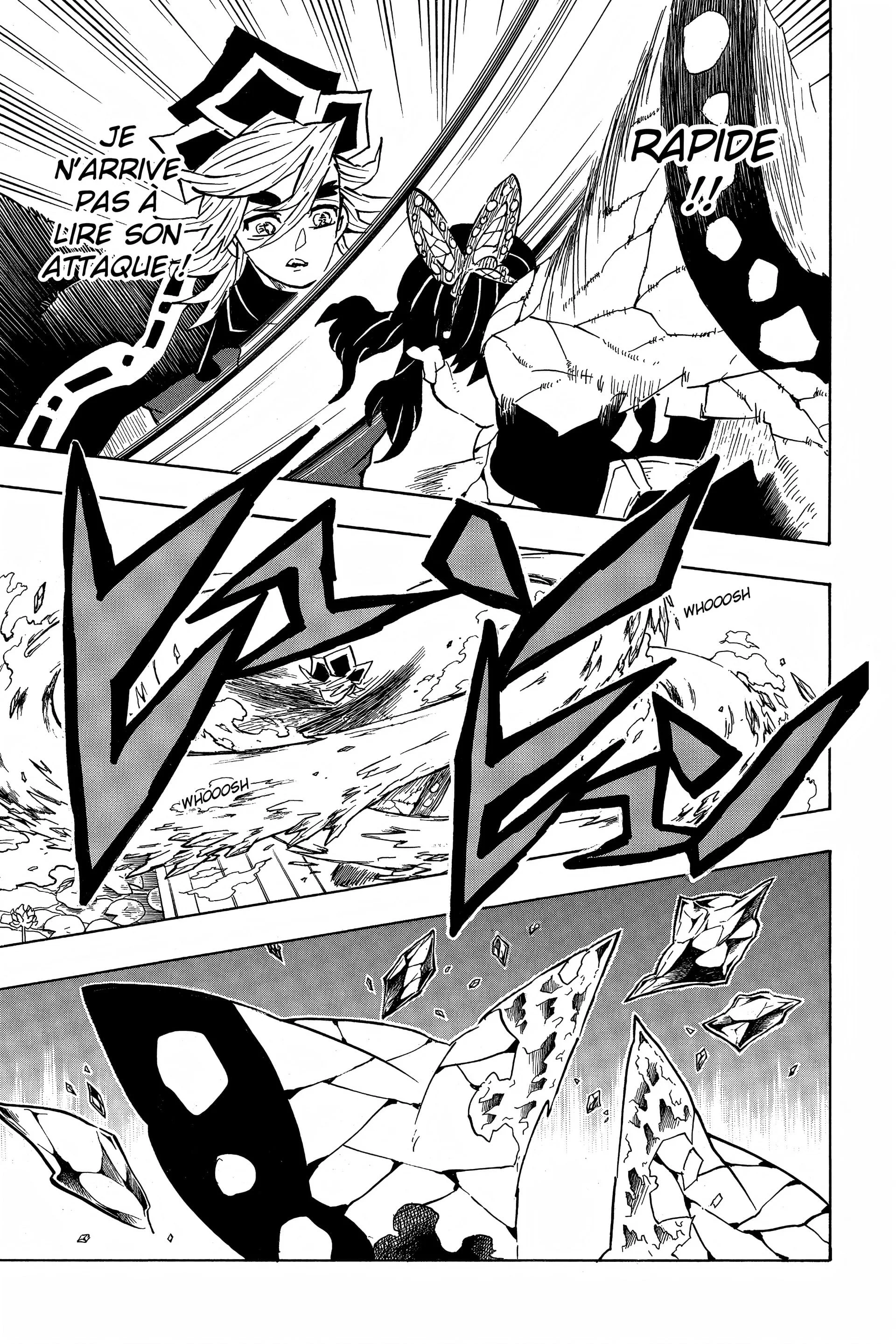 Read Demon Slayer FR Manga Online