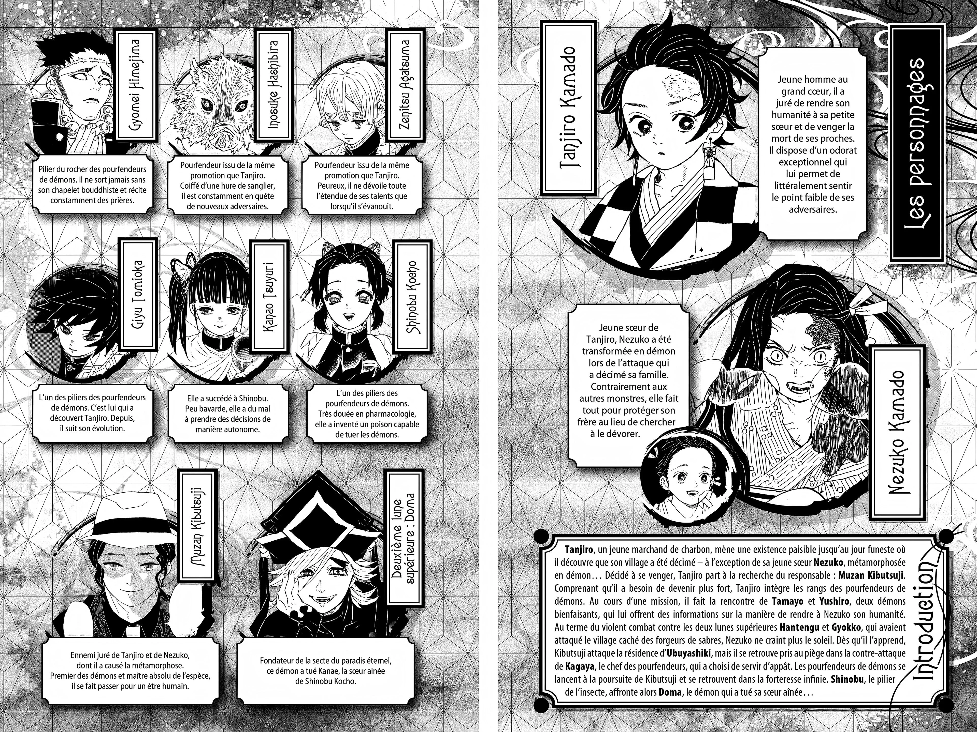 Read Demon Slayer FR Manga Online