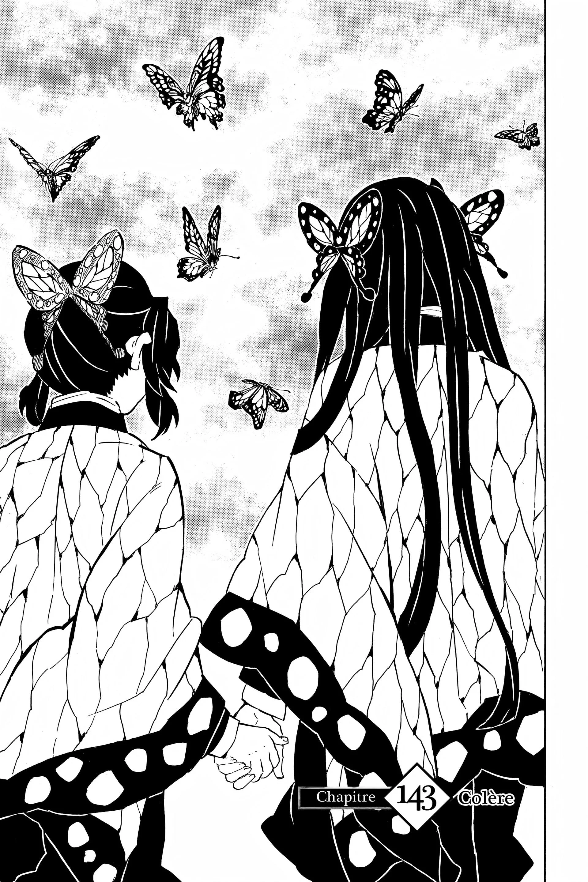 Read Demon Slayer FR Manga Online