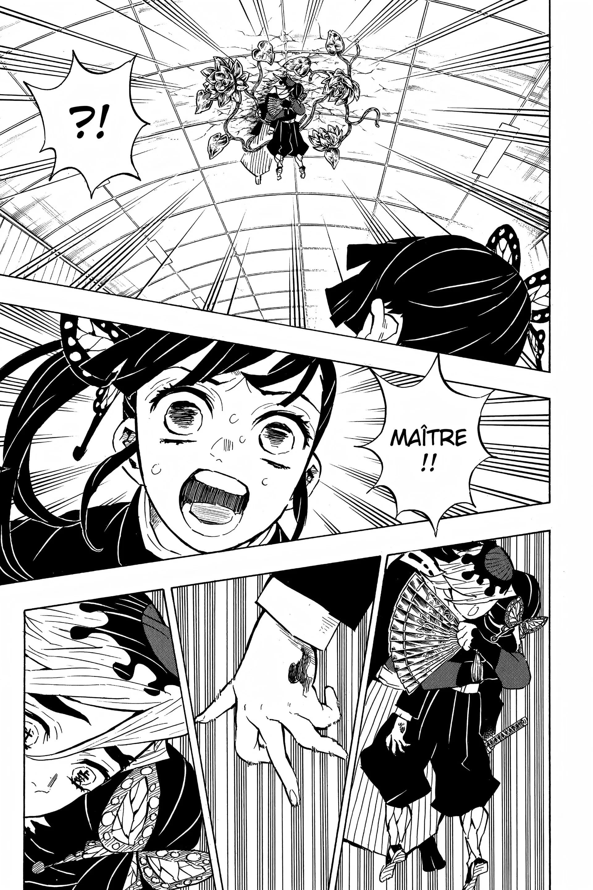 Read Demon Slayer FR Manga Online