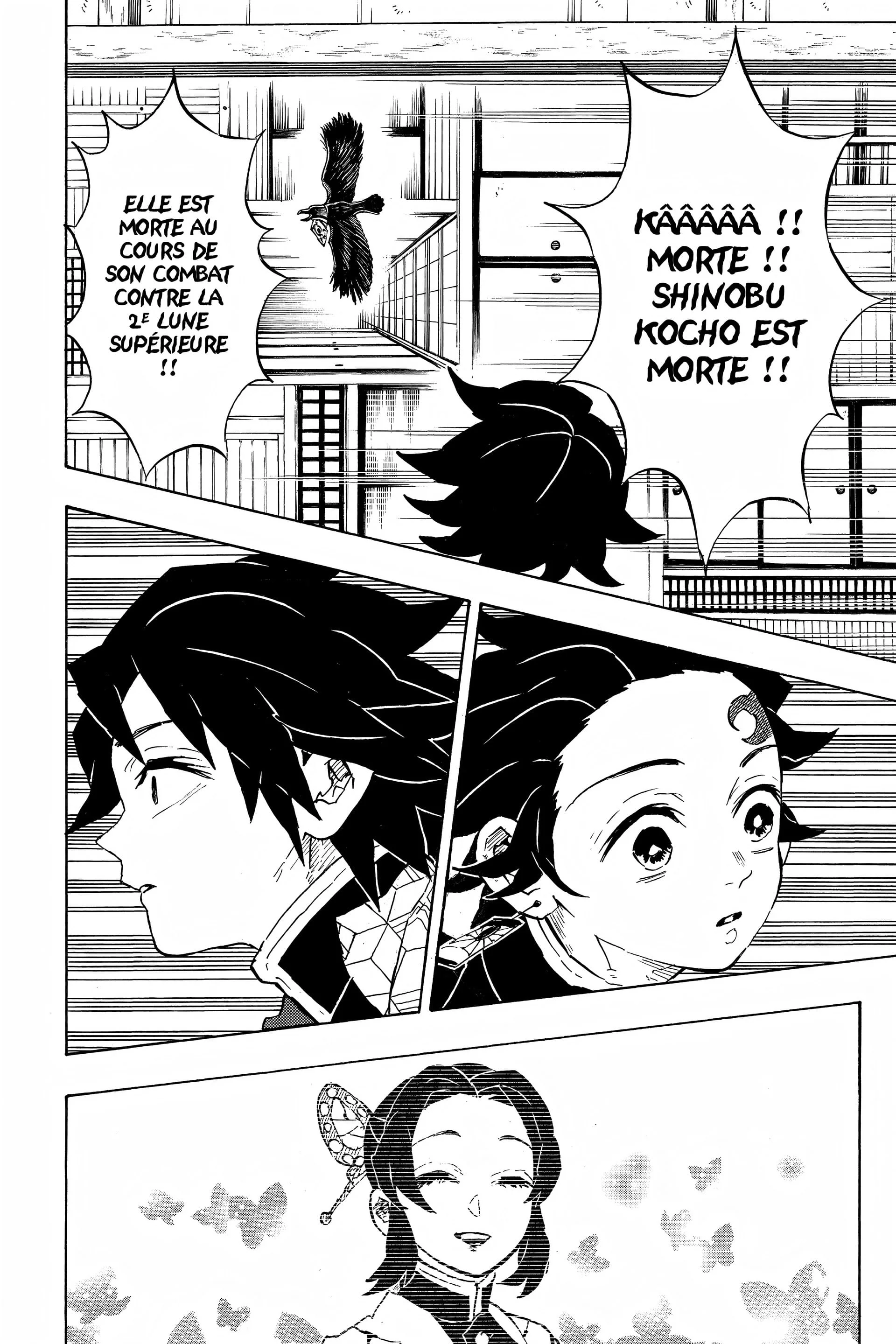 Read Demon Slayer FR Manga Online