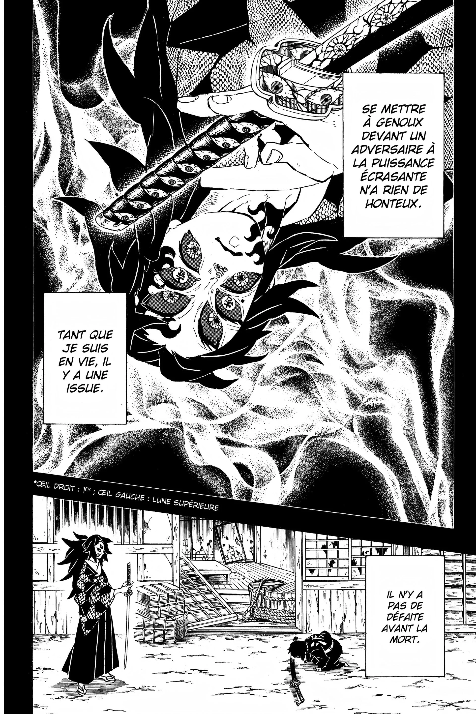 Read Demon Slayer FR Manga Online