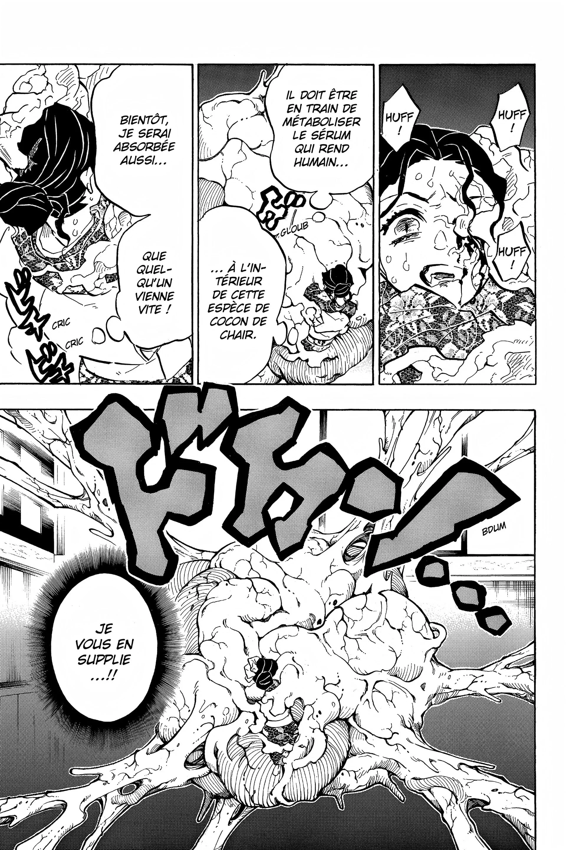 Read Demon Slayer FR Manga Online