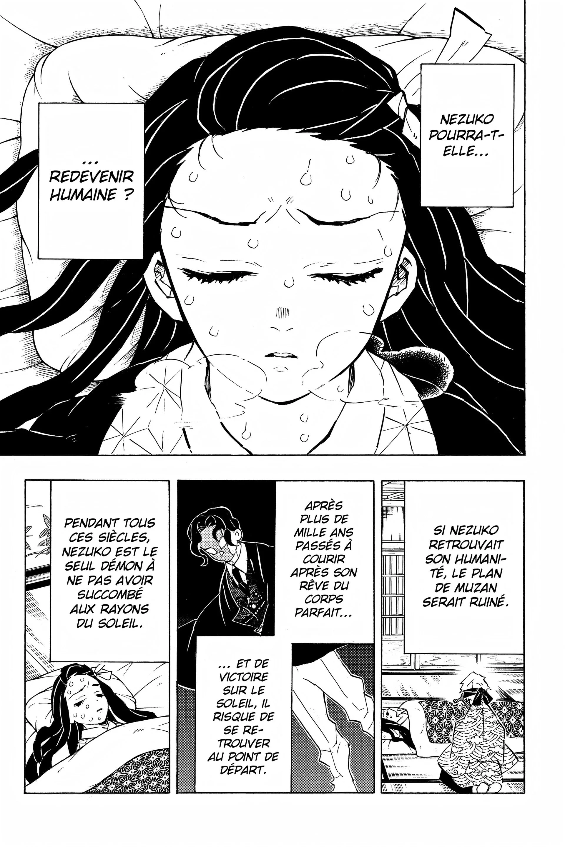 Read Demon Slayer FR Manga Online