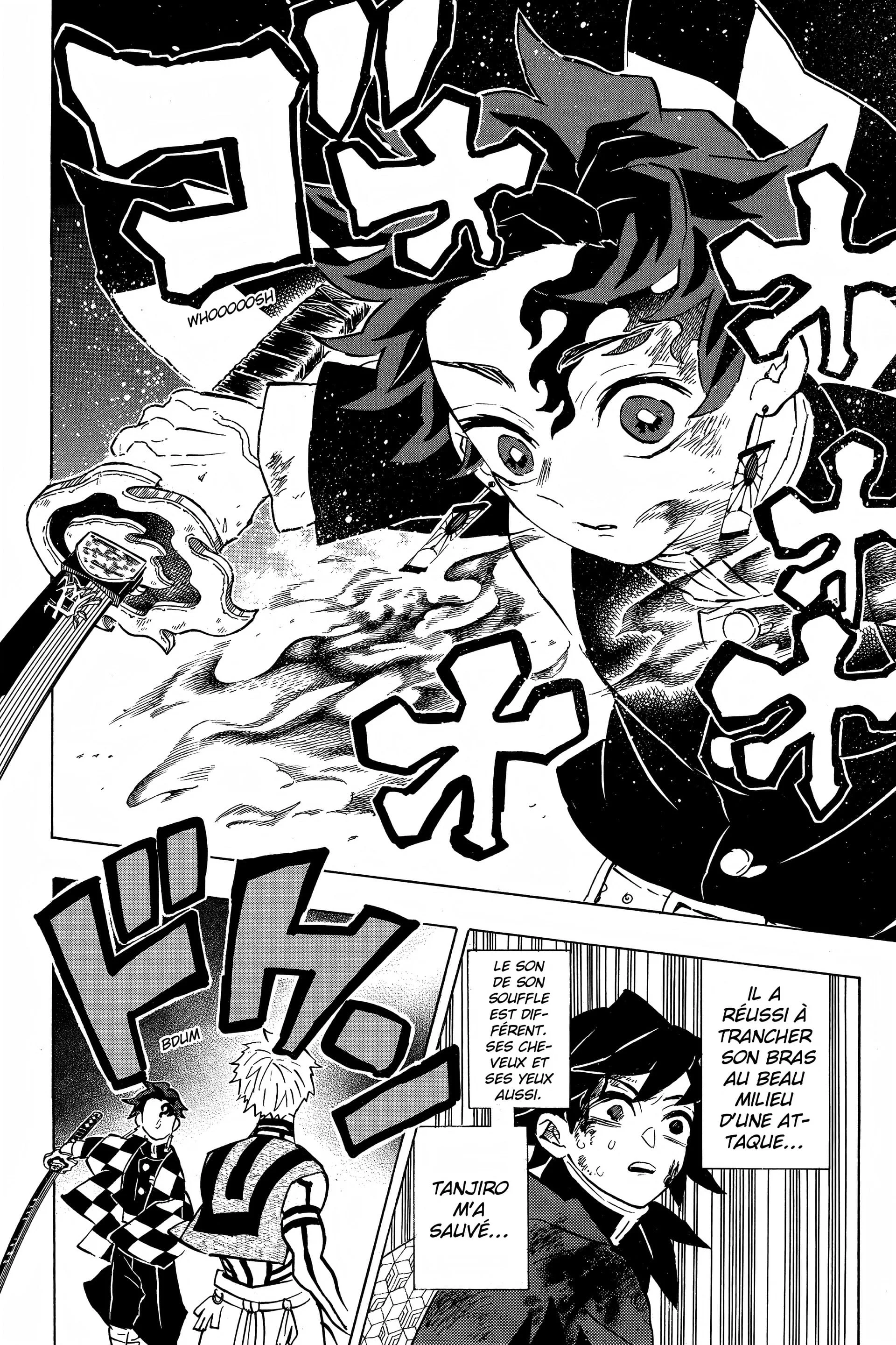 Read Demon Slayer FR Manga Online