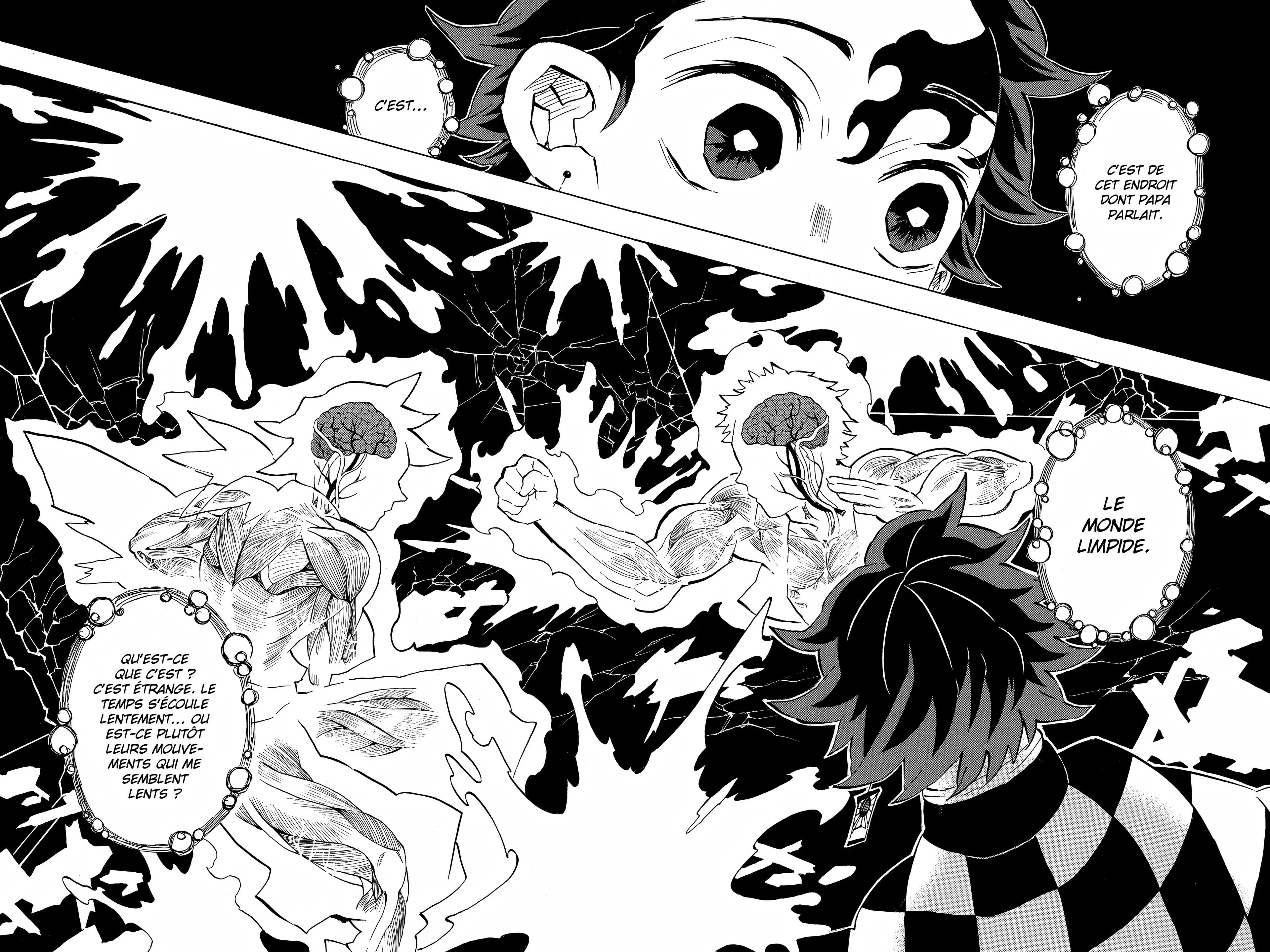 Read Demon Slayer FR Manga Online