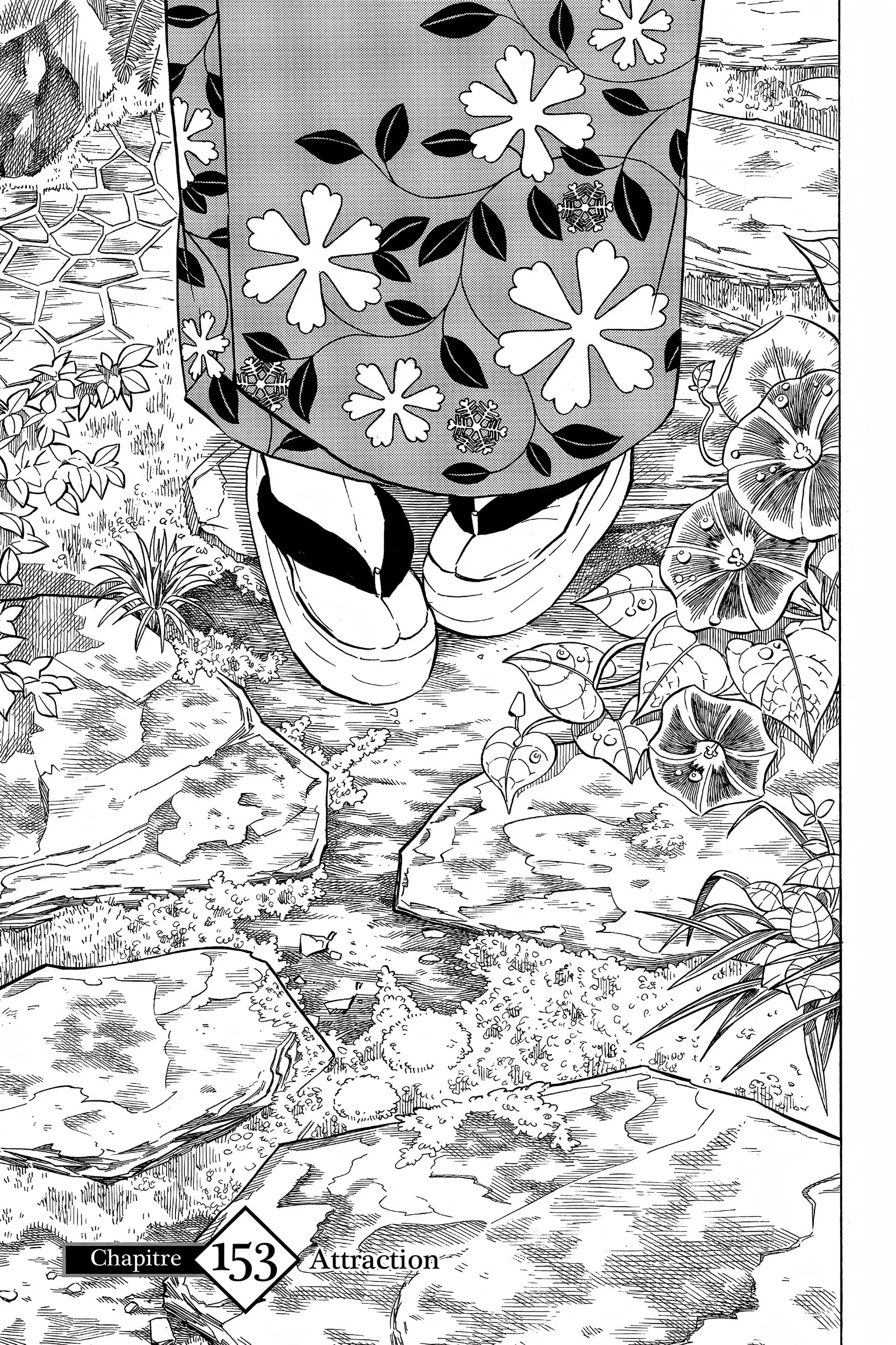 Read Demon Slayer FR Manga Online