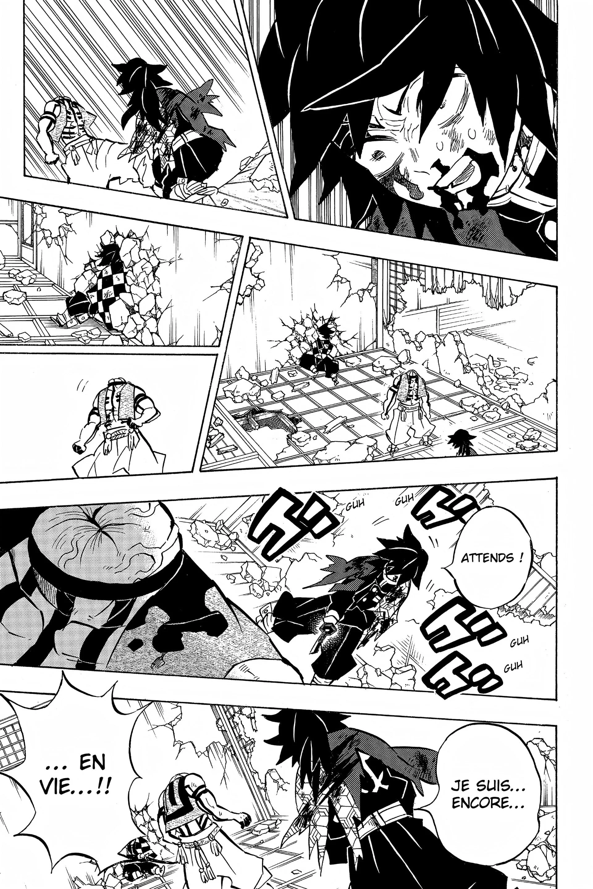 Read Demon Slayer FR Manga Online