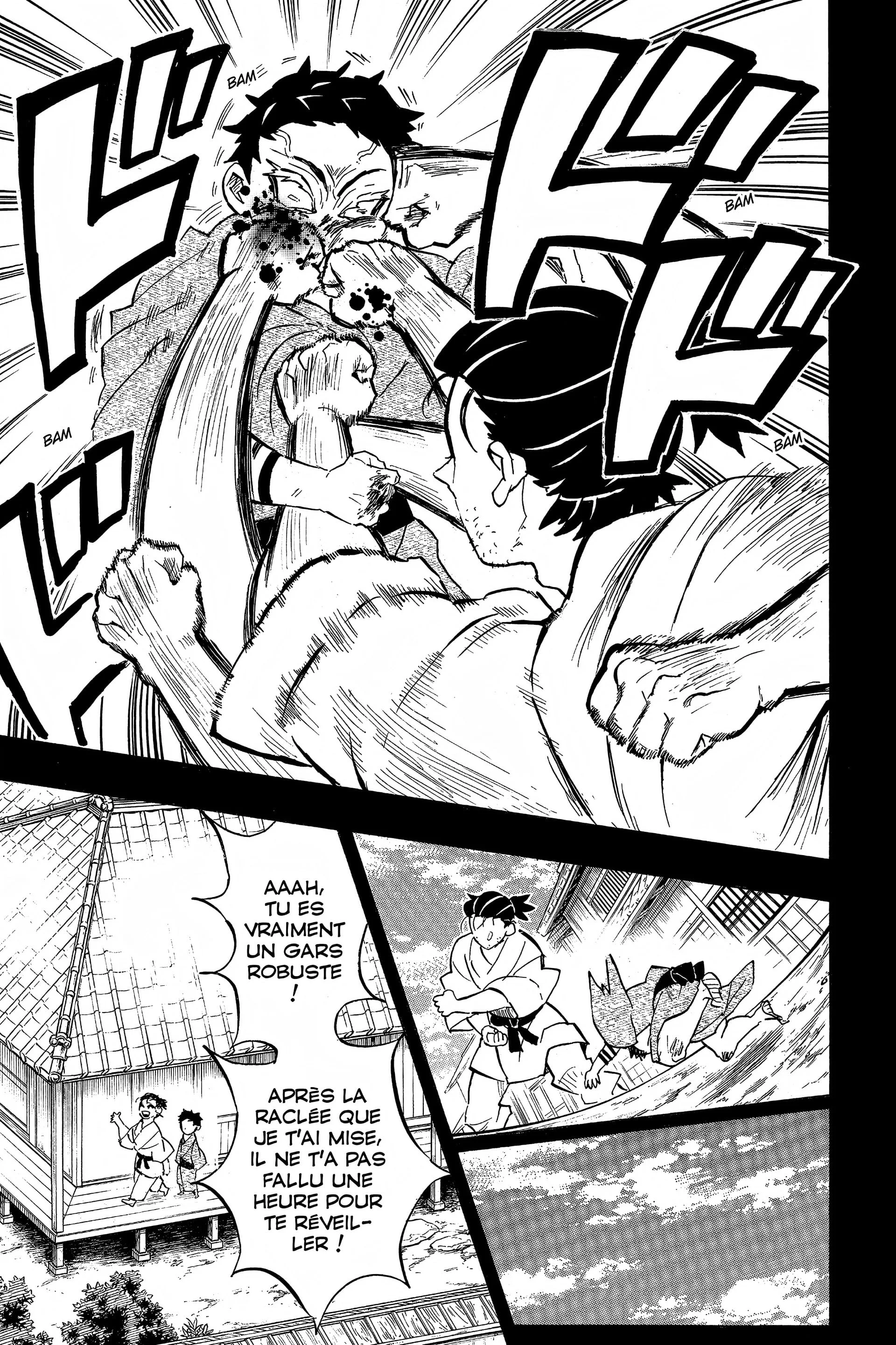 Read Demon Slayer FR Manga Online