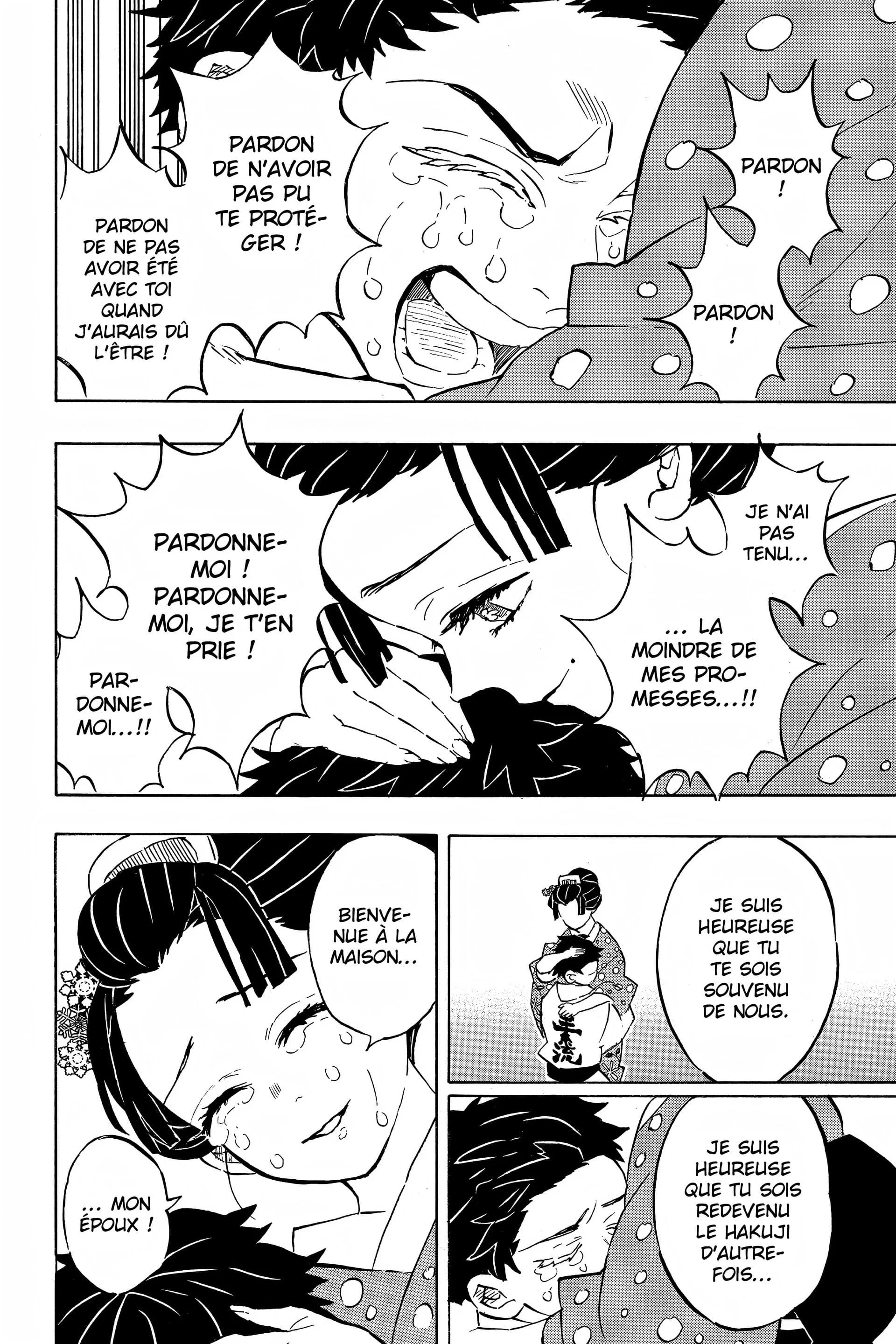 Read Demon Slayer FR Manga Online