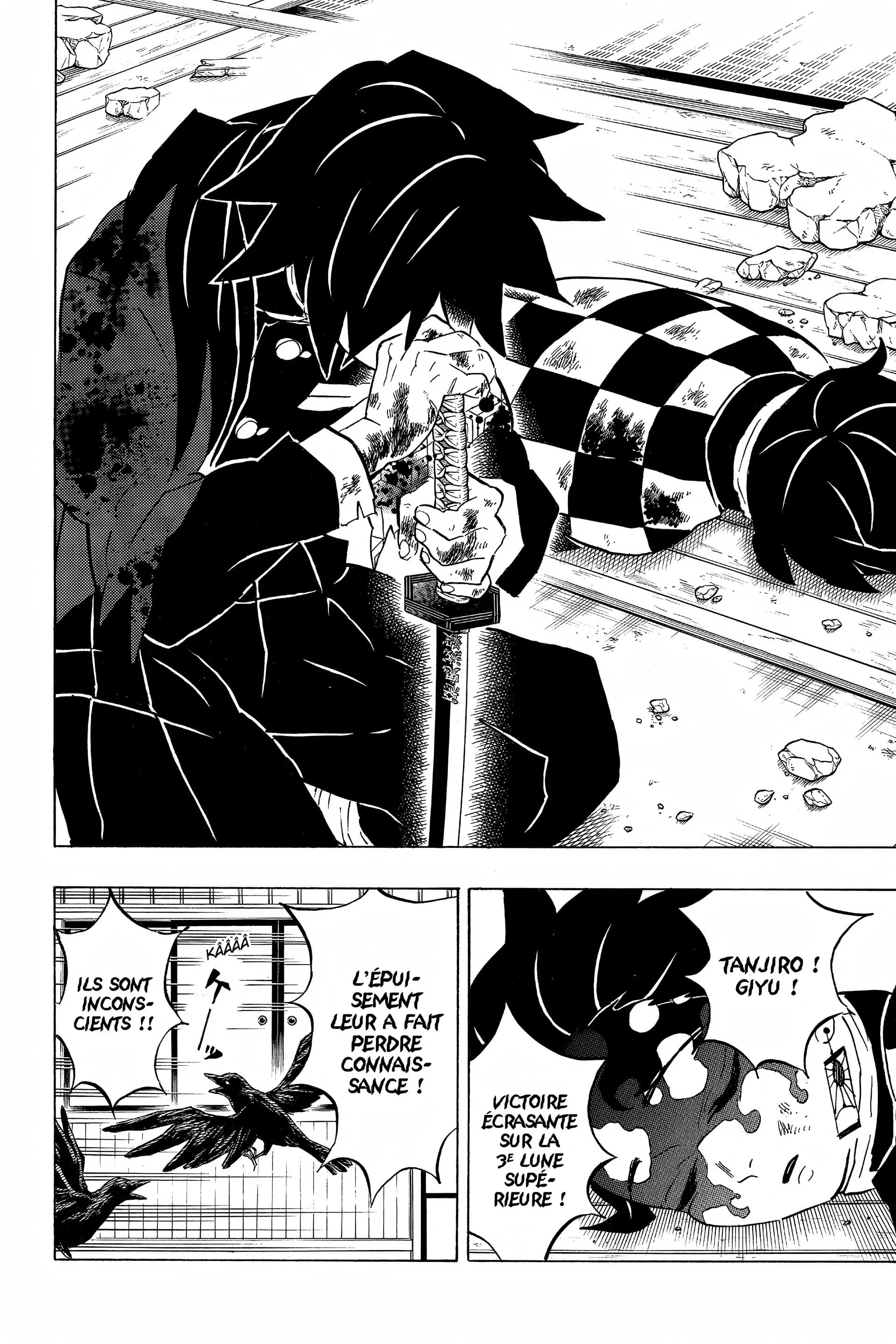 Read Demon Slayer FR Manga Online