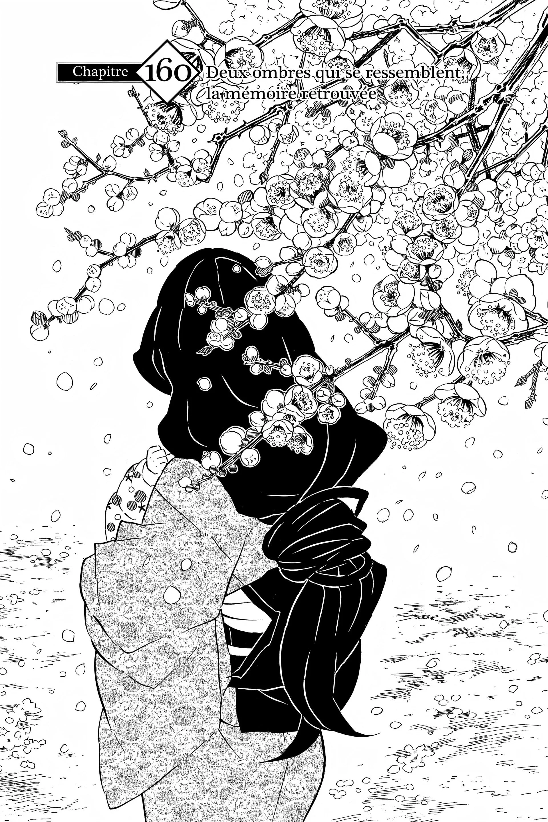 Read Demon Slayer FR Manga Online