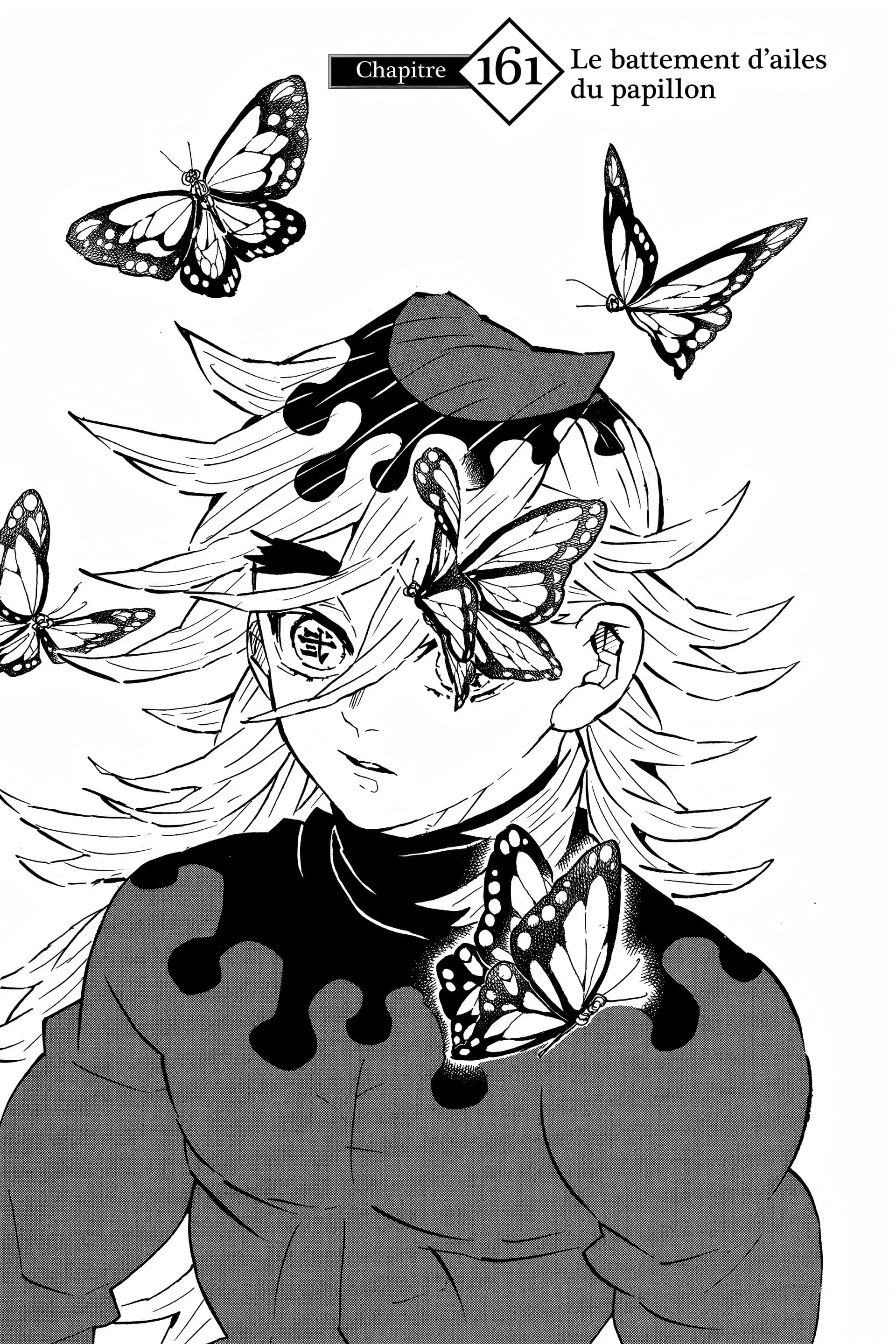 Read Demon Slayer FR Manga Online