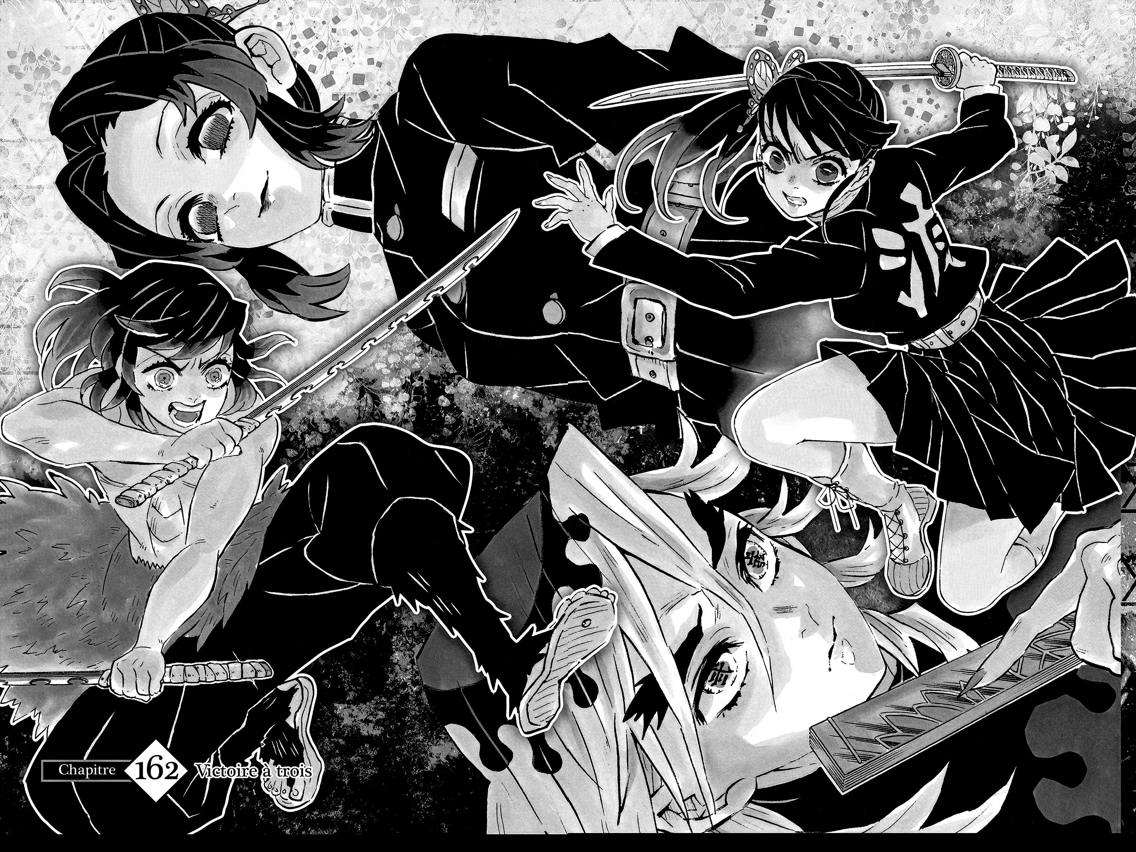 Read Demon Slayer FR Manga Online