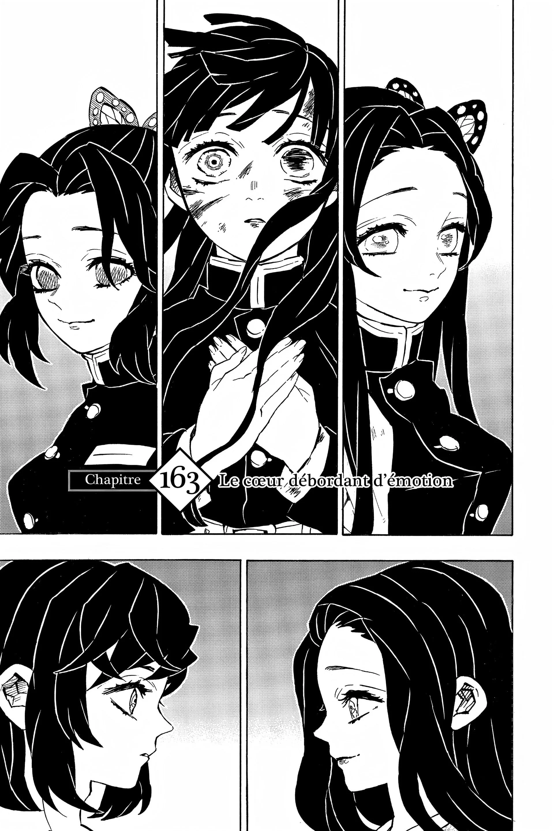 Read Demon Slayer FR Manga Online