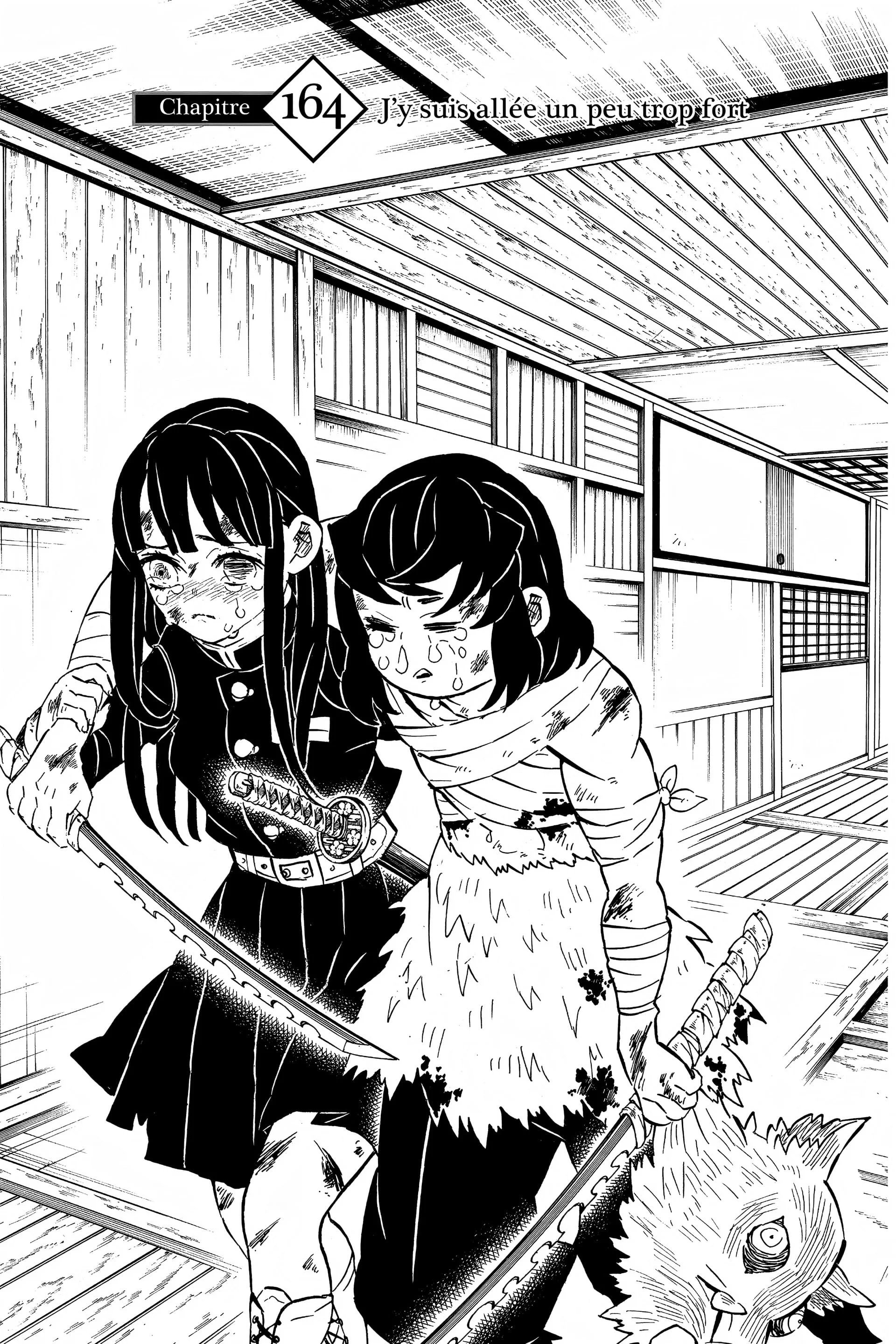 Read Demon Slayer FR Manga Online