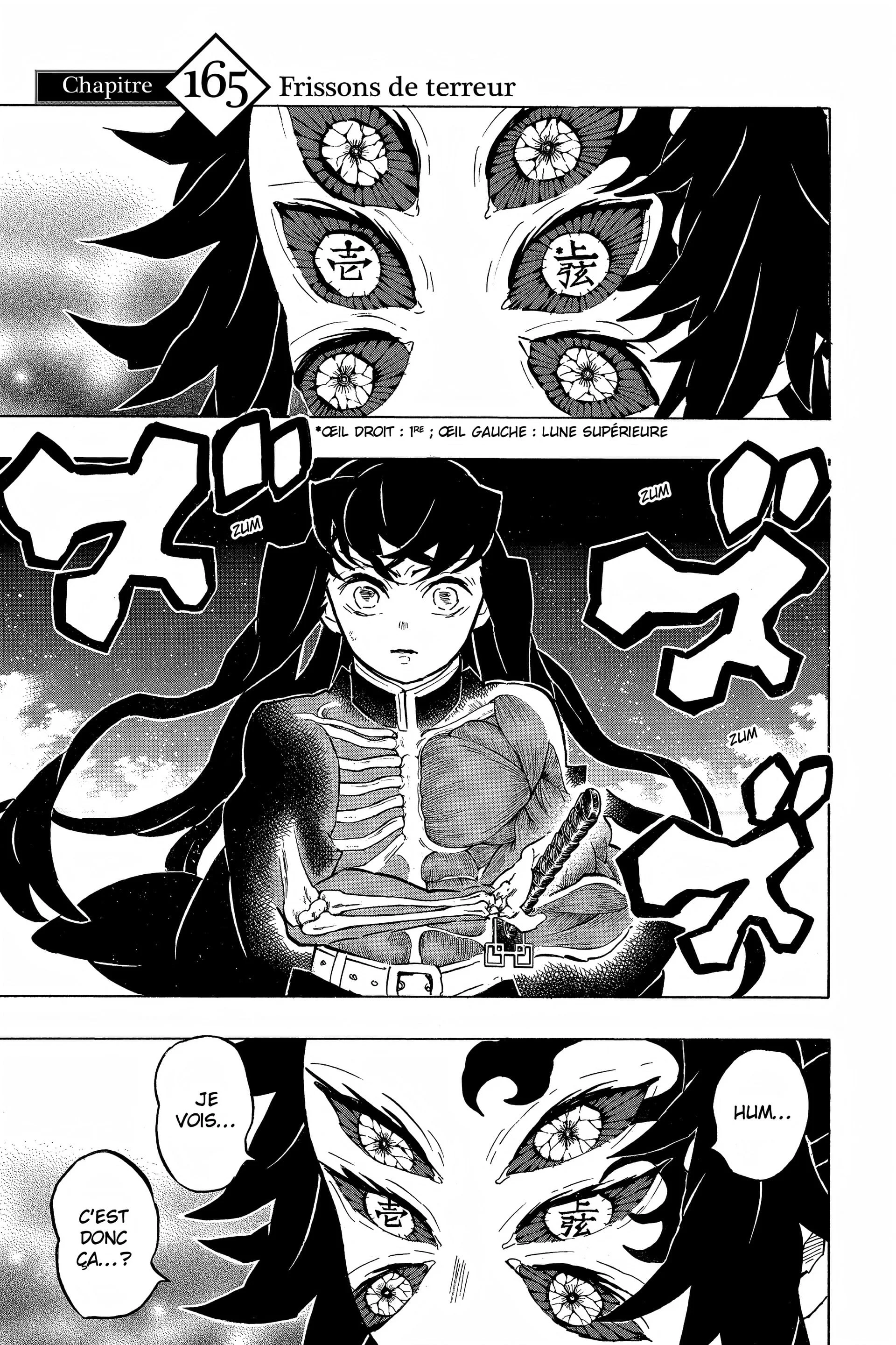 Read Demon Slayer FR Manga Online