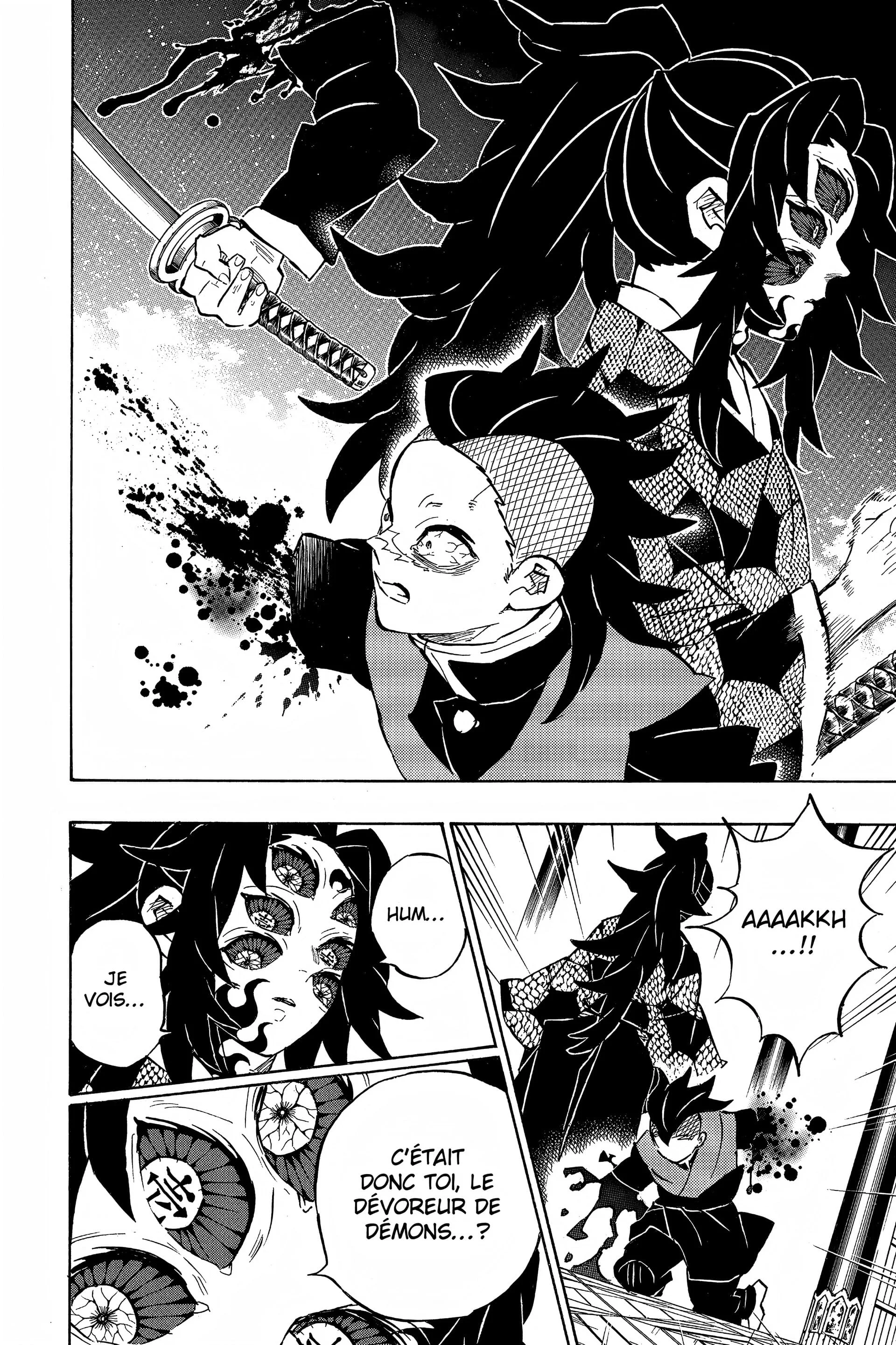 Read Demon Slayer FR Manga Online