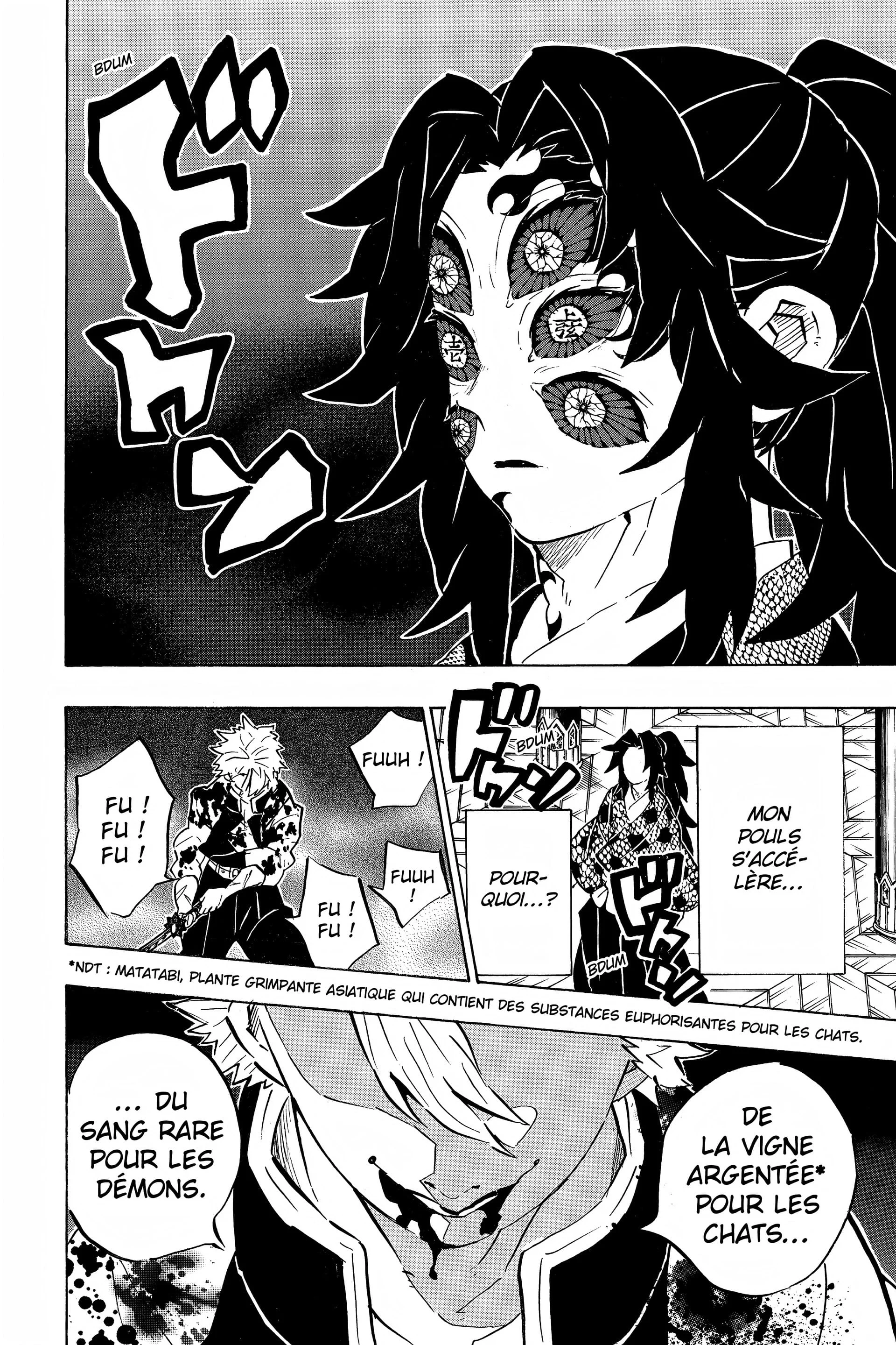 Read Demon Slayer FR Manga Online