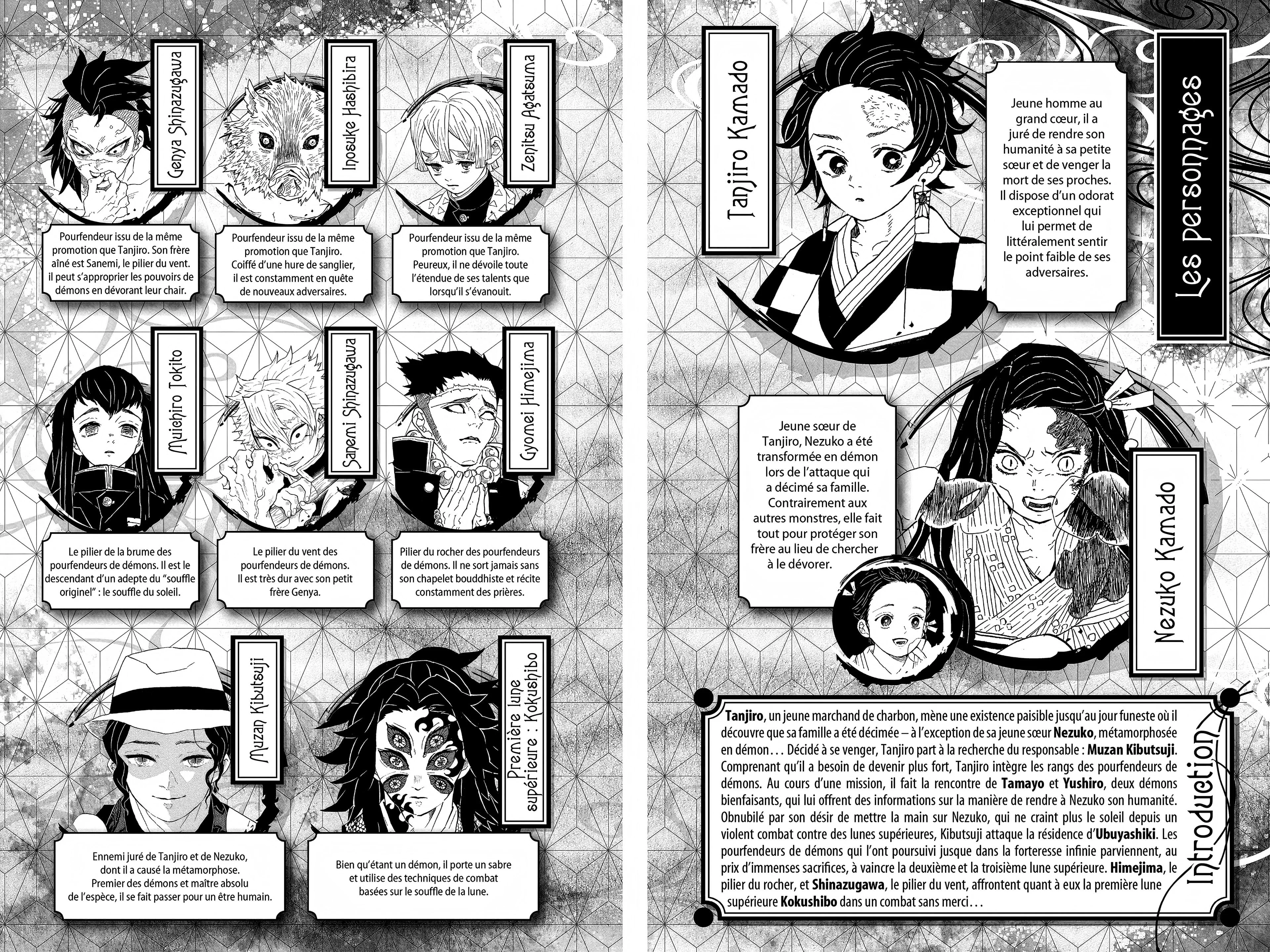 Read Demon Slayer FR Manga Online