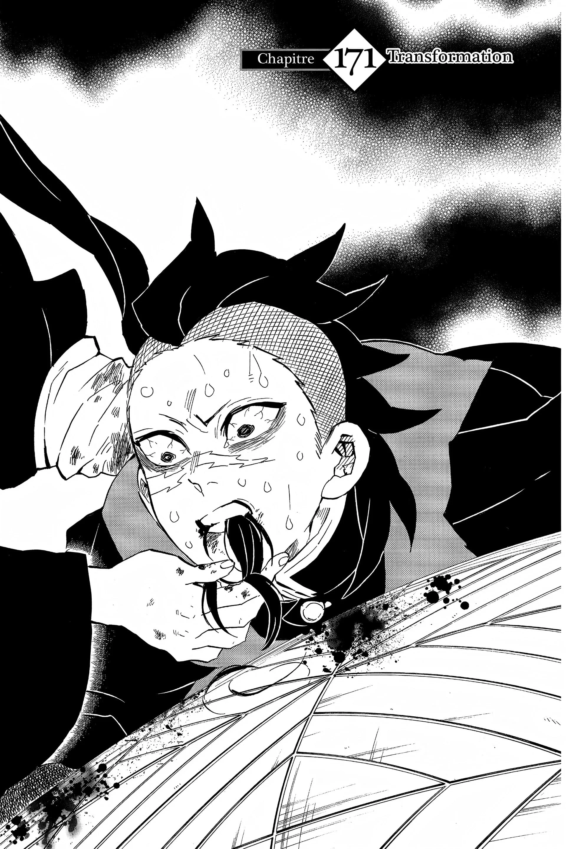 Read Demon Slayer FR Manga Online