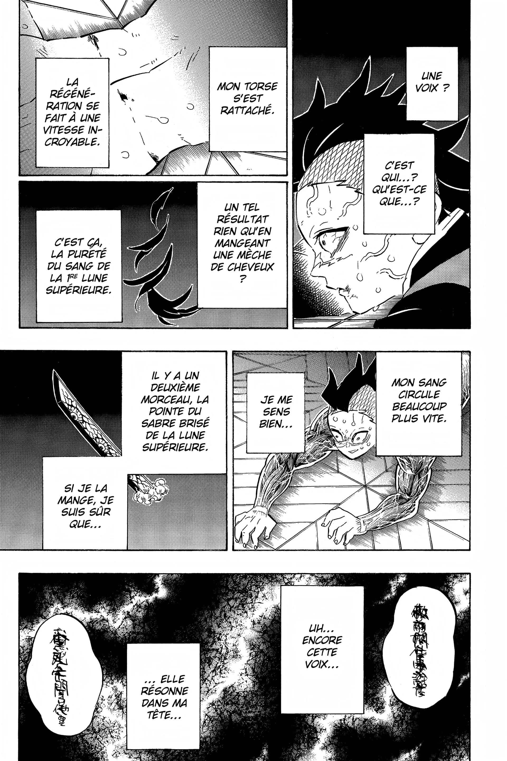 Read Demon Slayer FR Manga Online