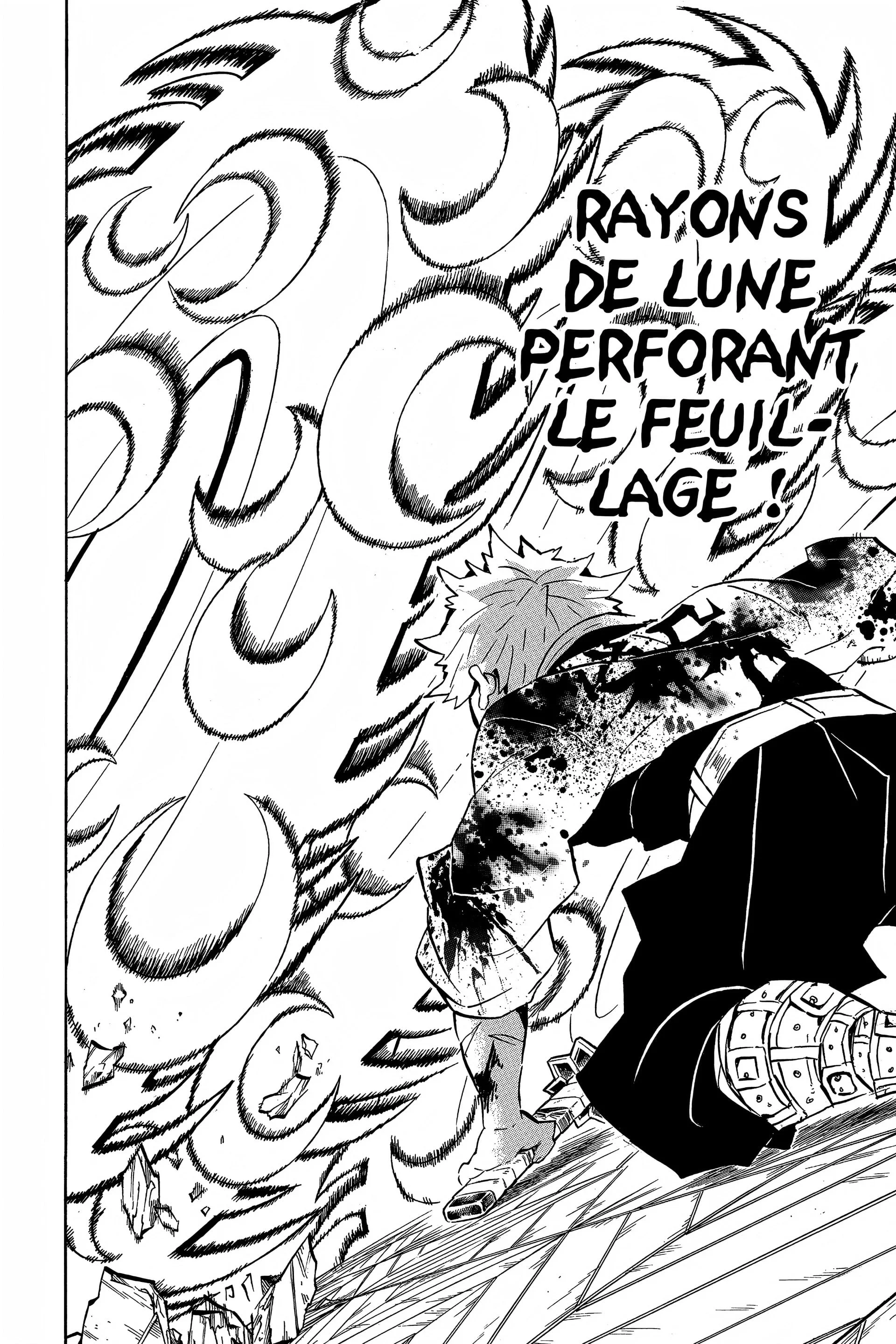 Read Demon Slayer FR Manga Online