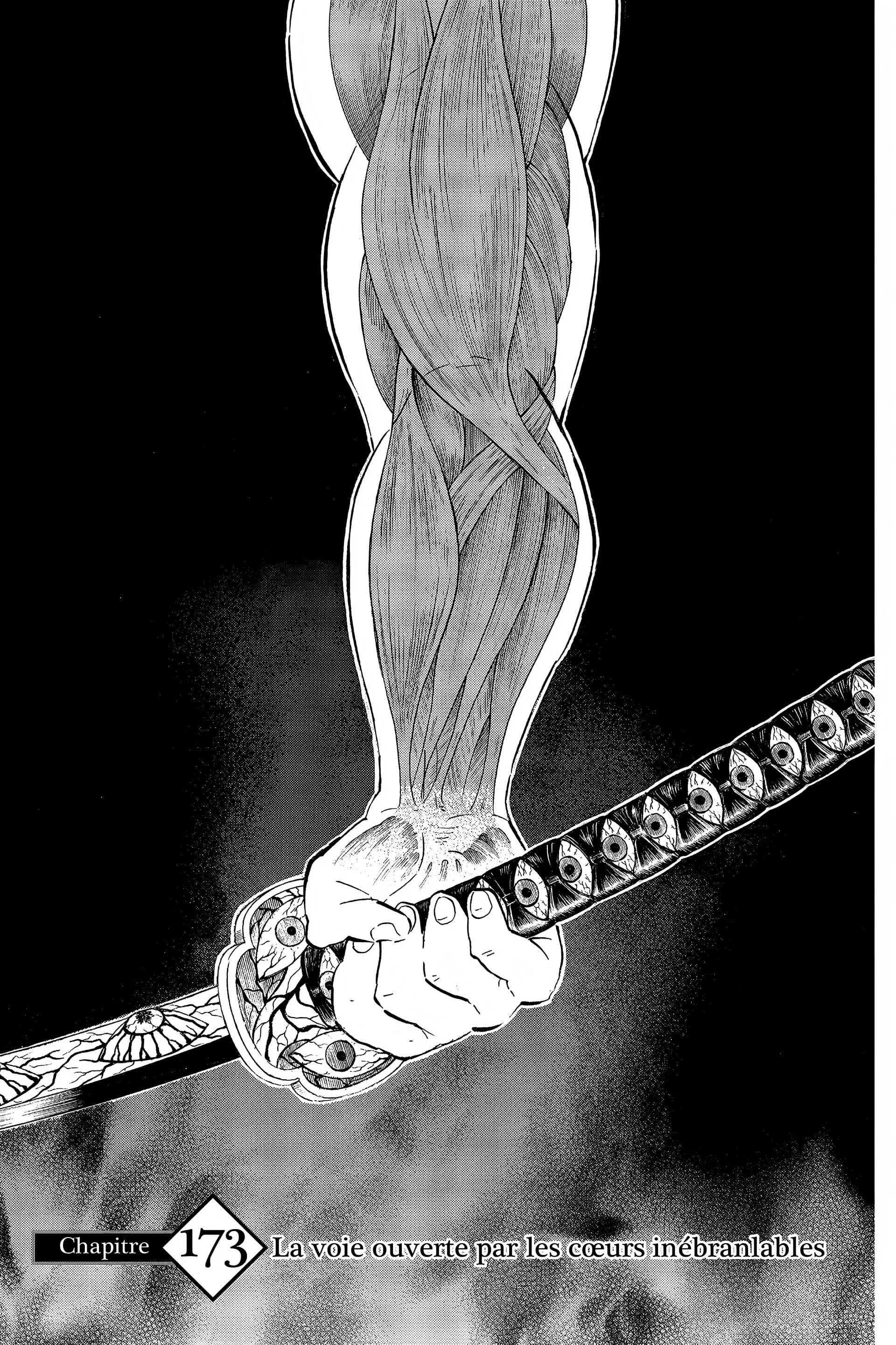 Read Demon Slayer FR Manga Online