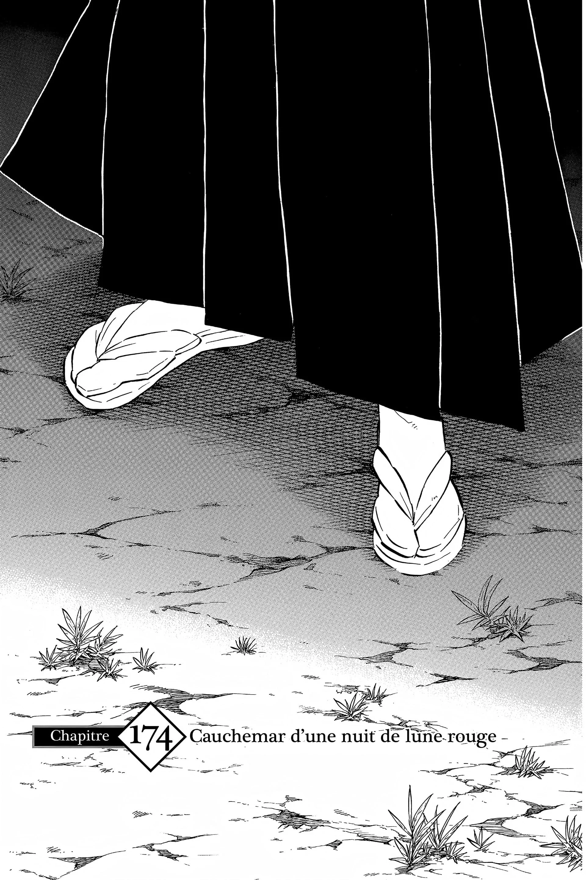 Read Demon Slayer FR Manga Online