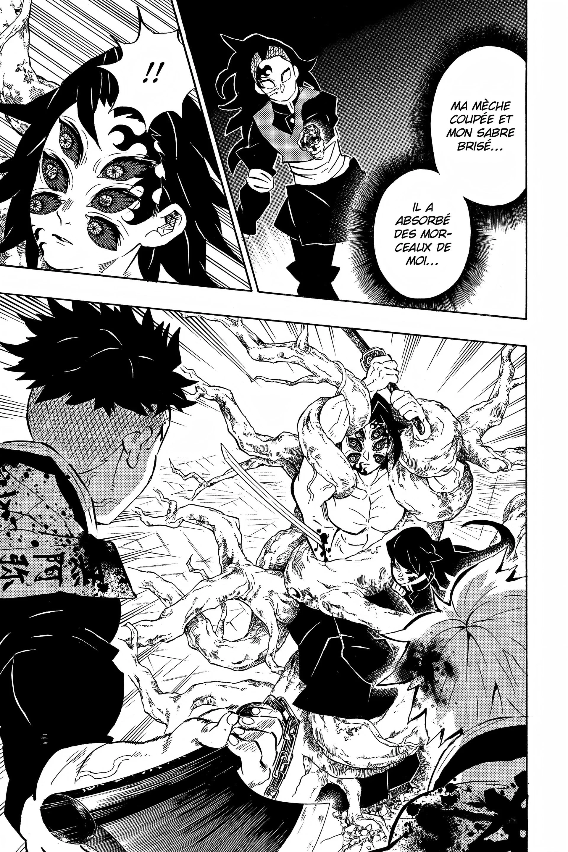 Read Demon Slayer FR Manga Online