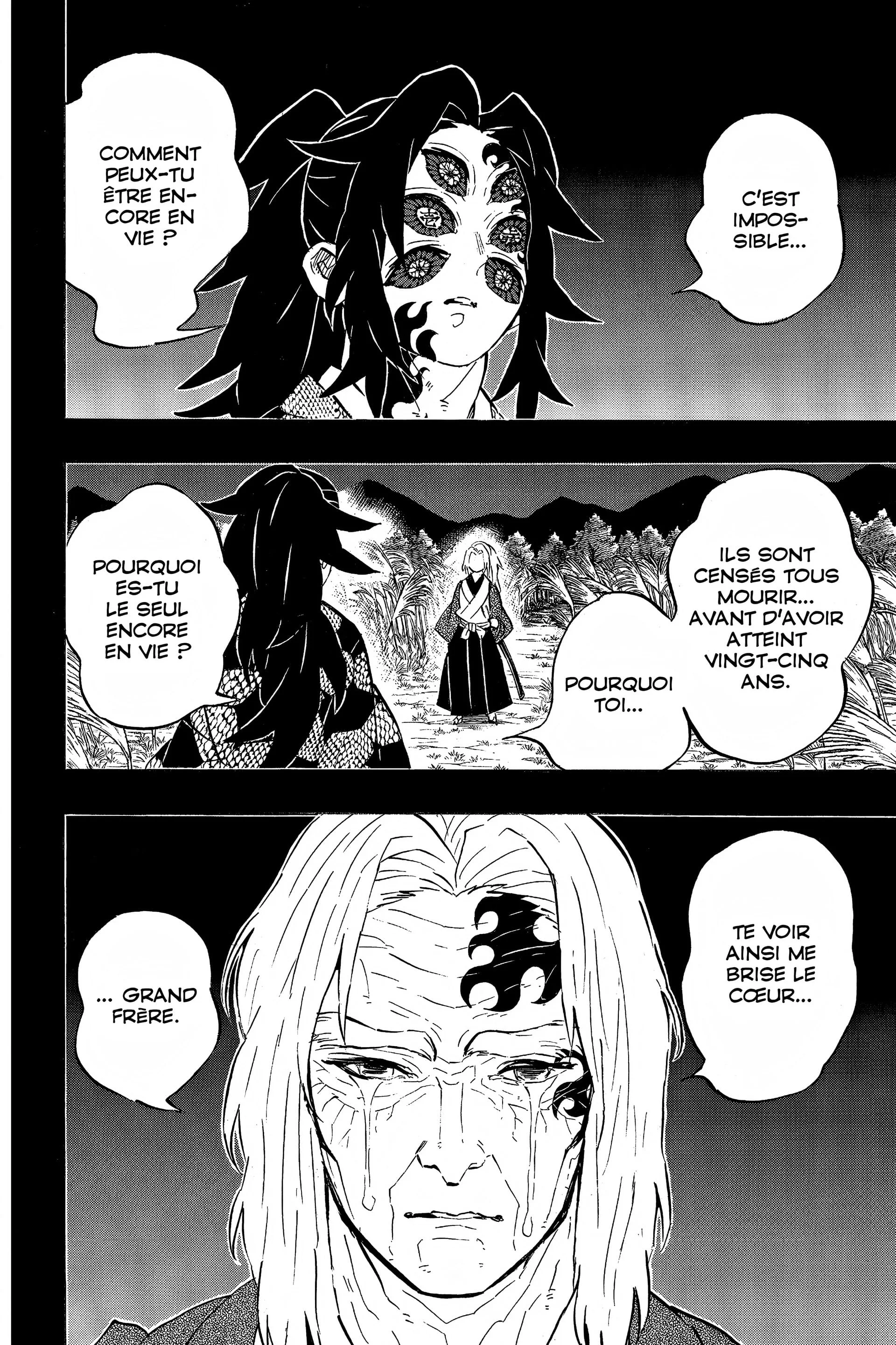 Read Demon Slayer FR Manga Online